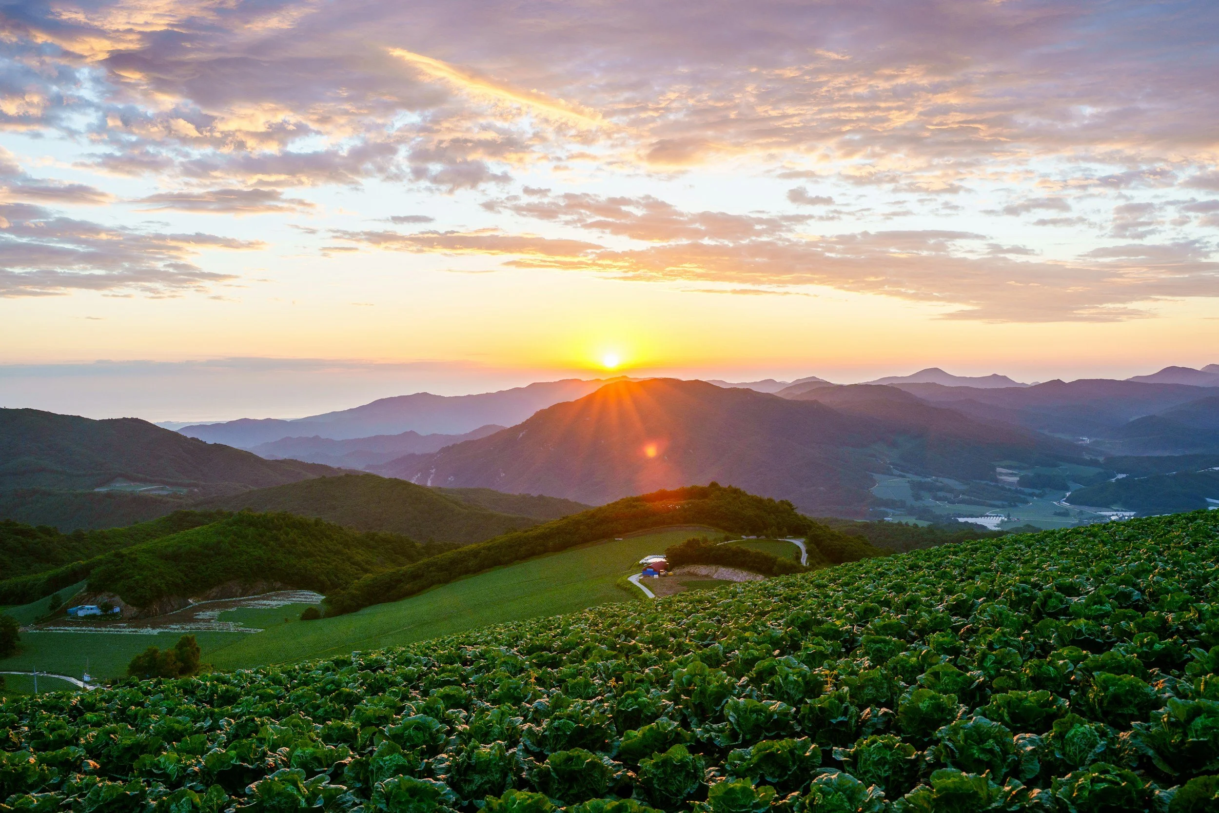 The Heart of a True Warrior