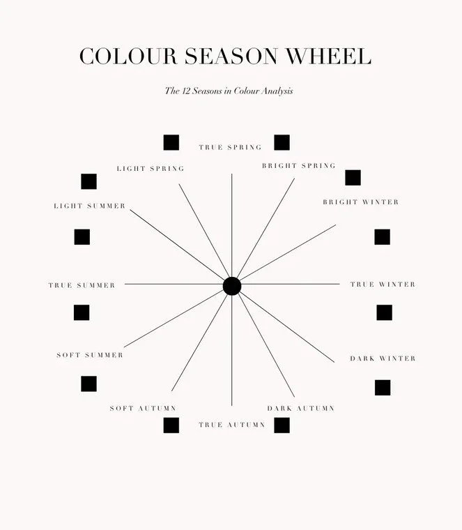 Diagram illustrating the 12 seasons in color analysis, with a wheel showing seasons like spring, summer, autumn, and winter, each having light, soft, bright, true, or dark variations.