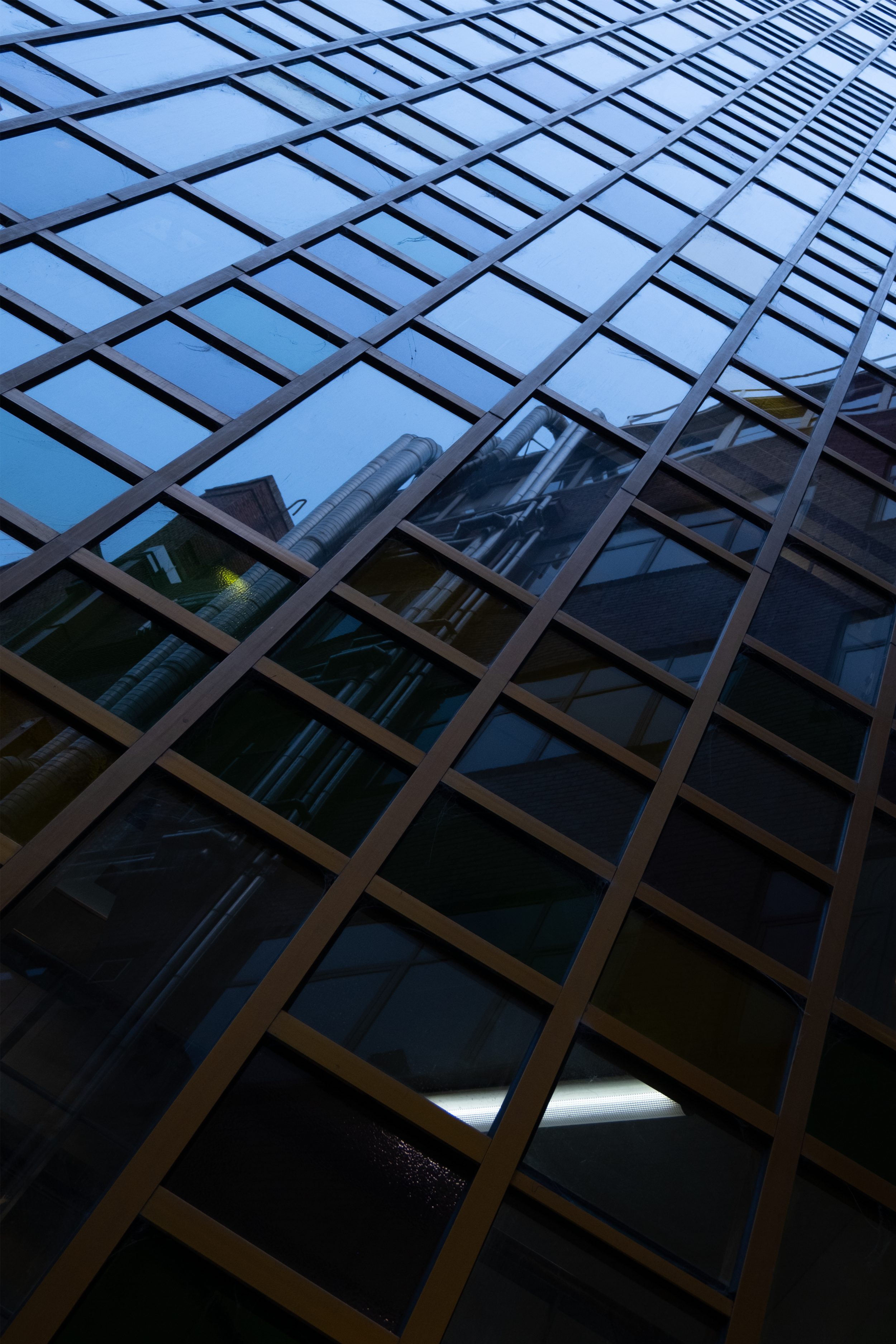 DSCF0218-1.png