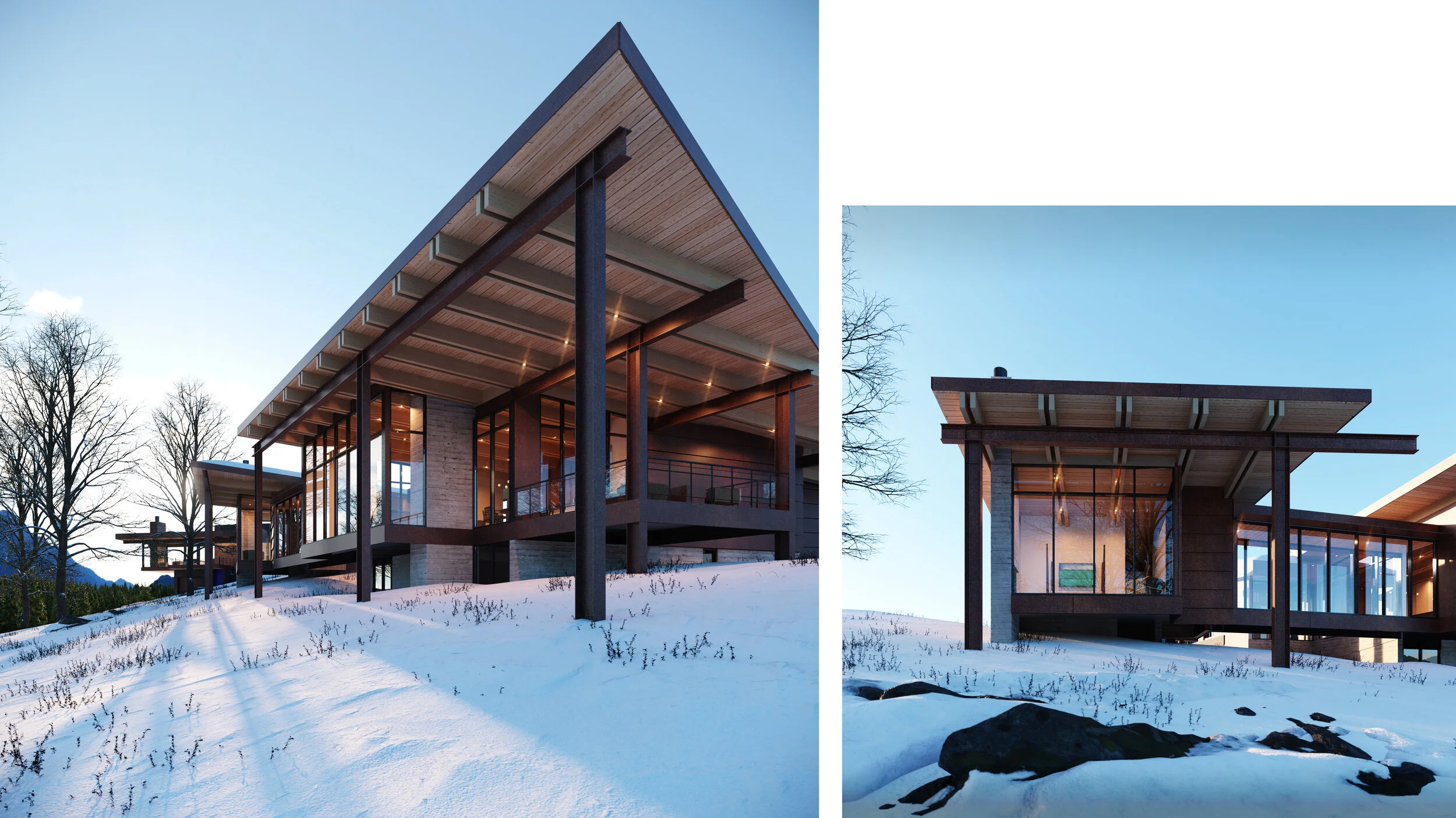 Snowshoe_VignetteComposite_1.jpg
