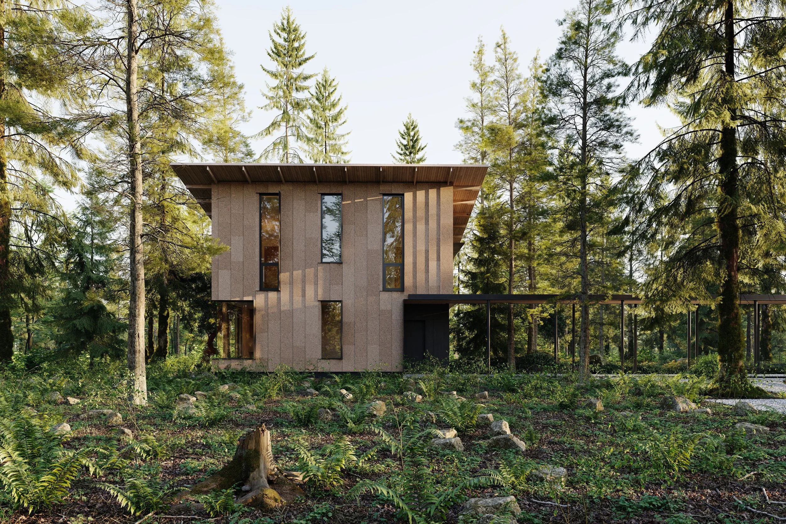 (c)NotionWorkshop_GazzamLake_Elevation Approach_Final_1_ss.jpg