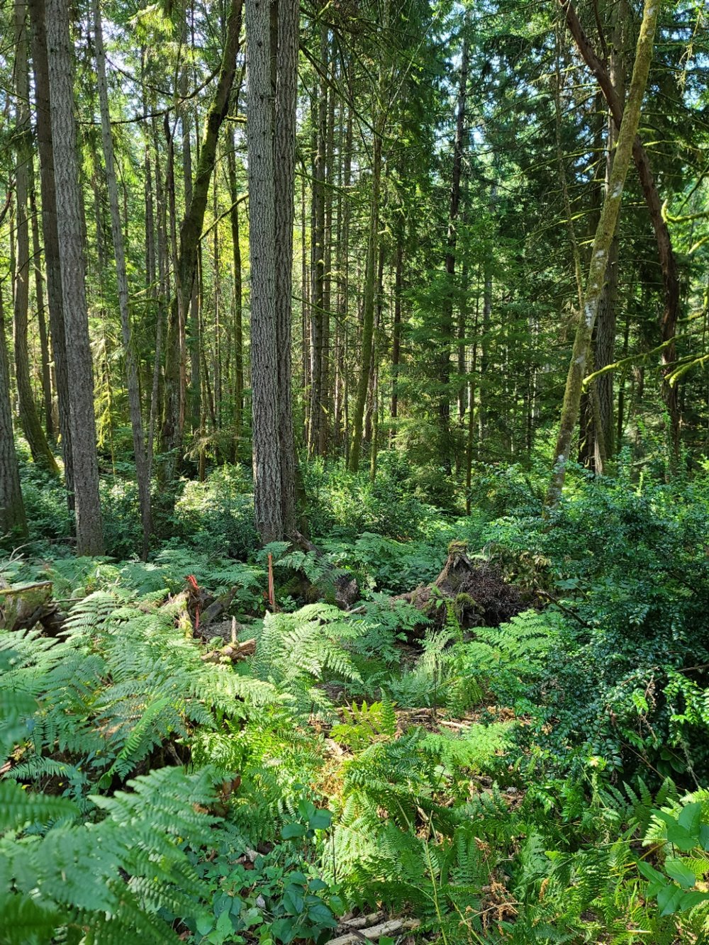 Site reference photo