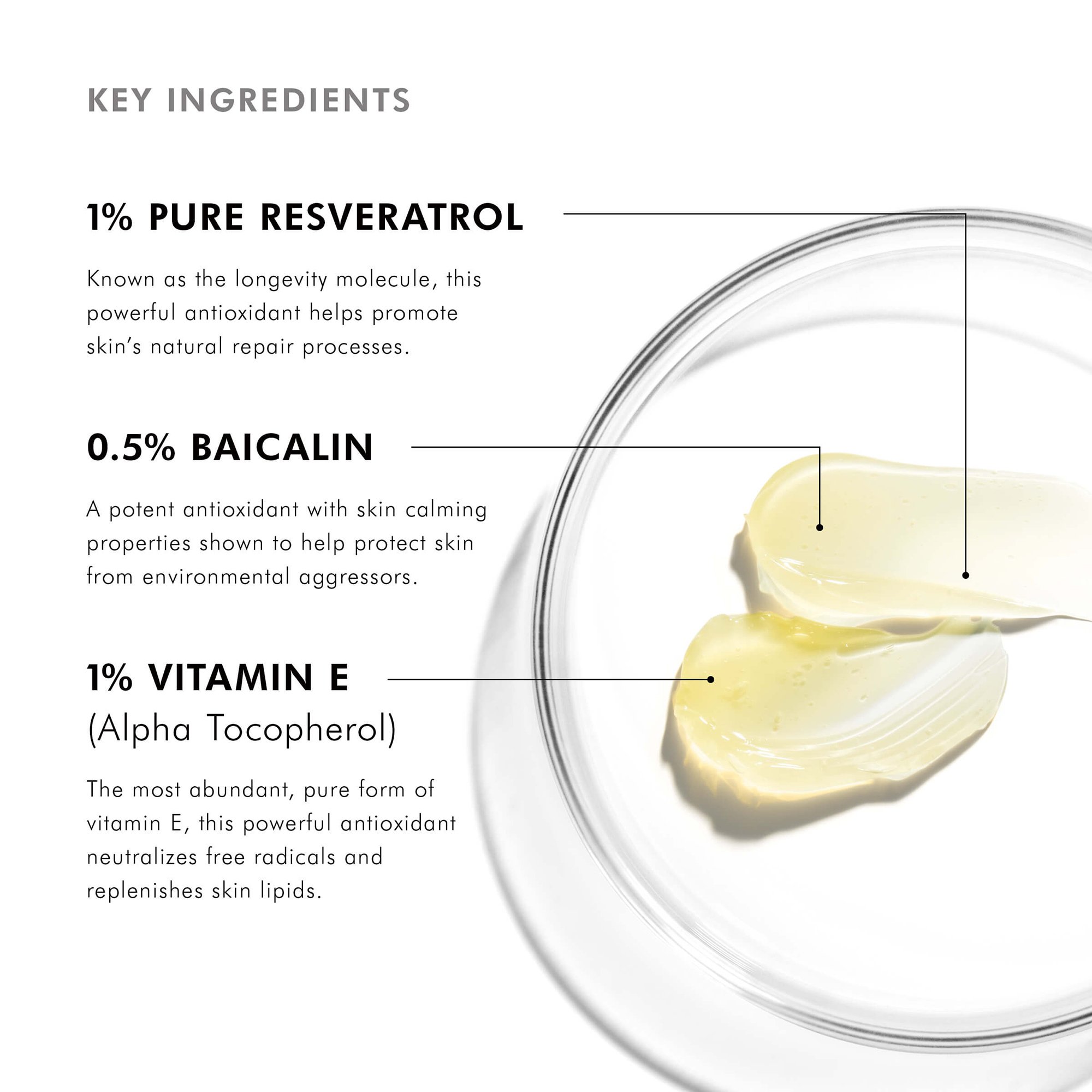 Res Key Ingredients.jpeg