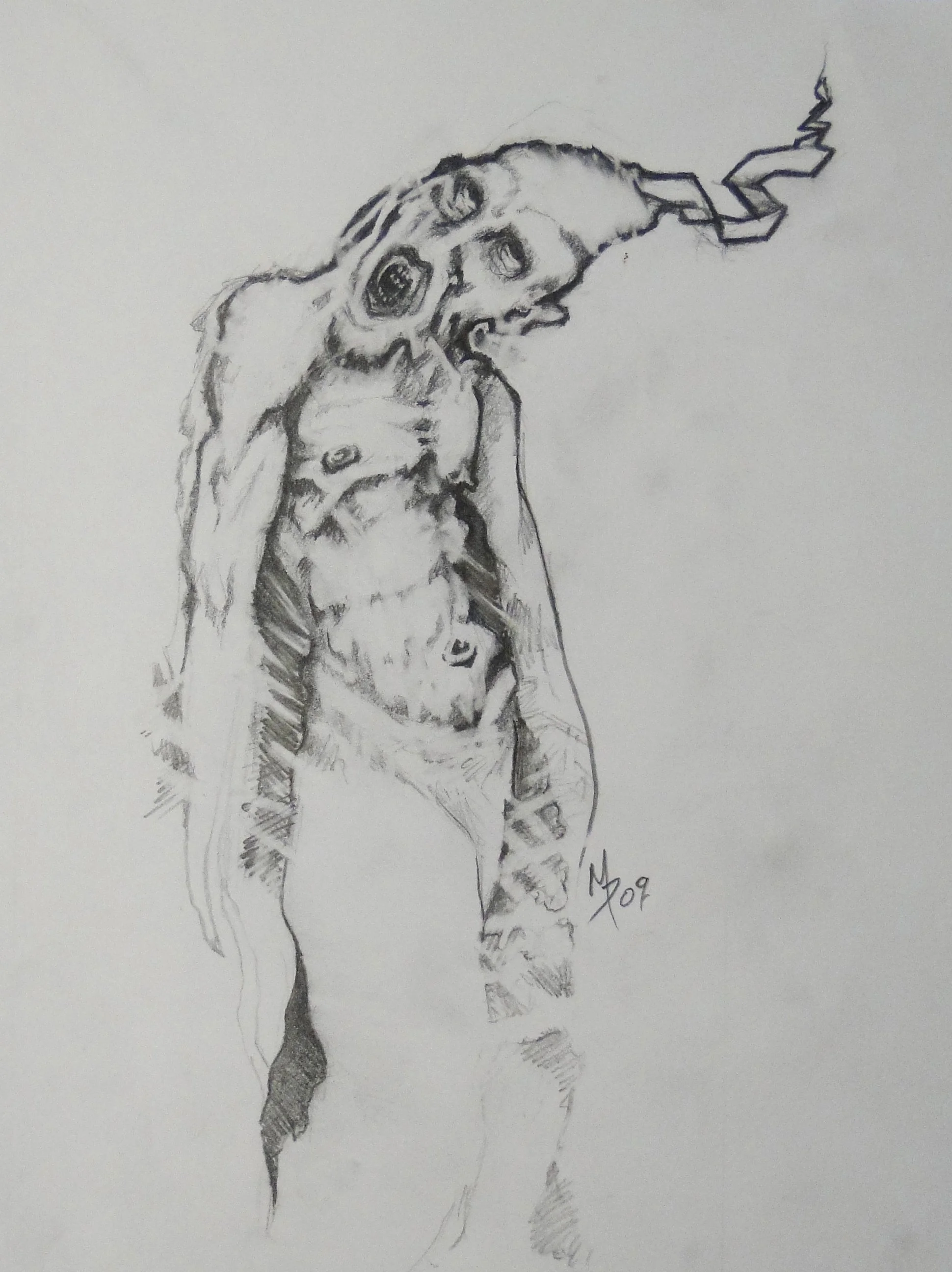 Burnt_Out_2009.jpg