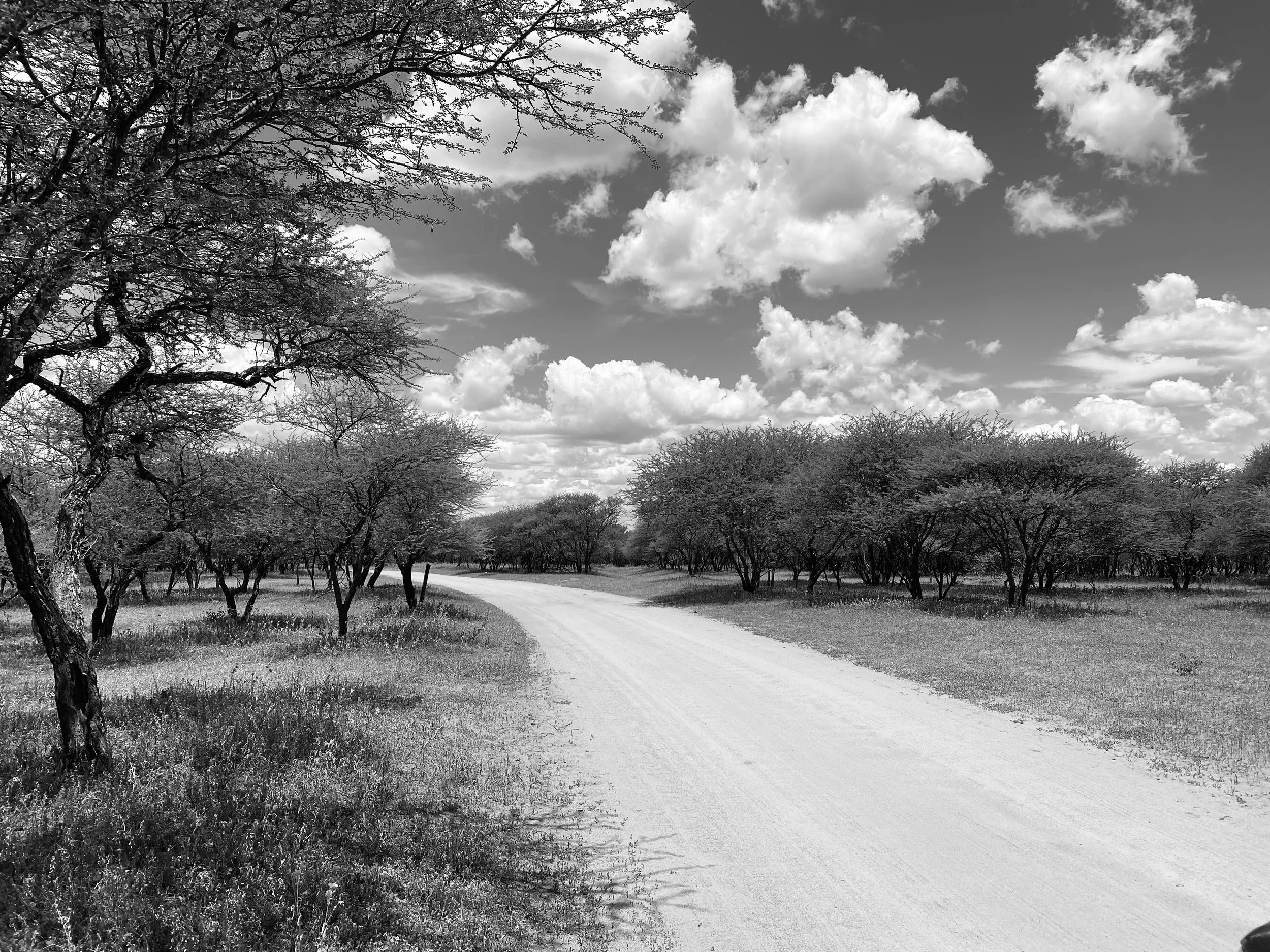 Imposter syndrome and a DJ playlist called “The Gabby Mix”