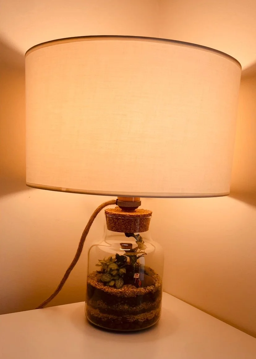 The grass is greener…in a terrarium