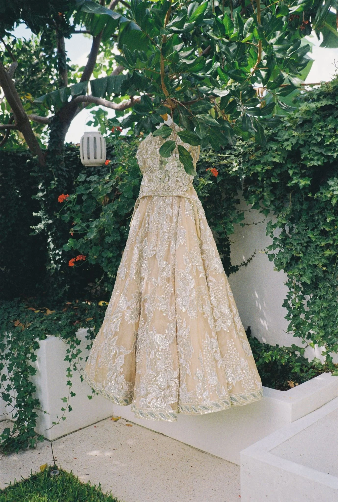 Peggy_Saas_Australian_Wedding_Photographer - 35mm_FILM.jpg