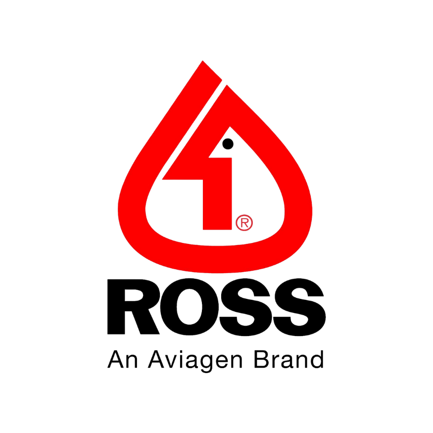 Untitled design-9.png