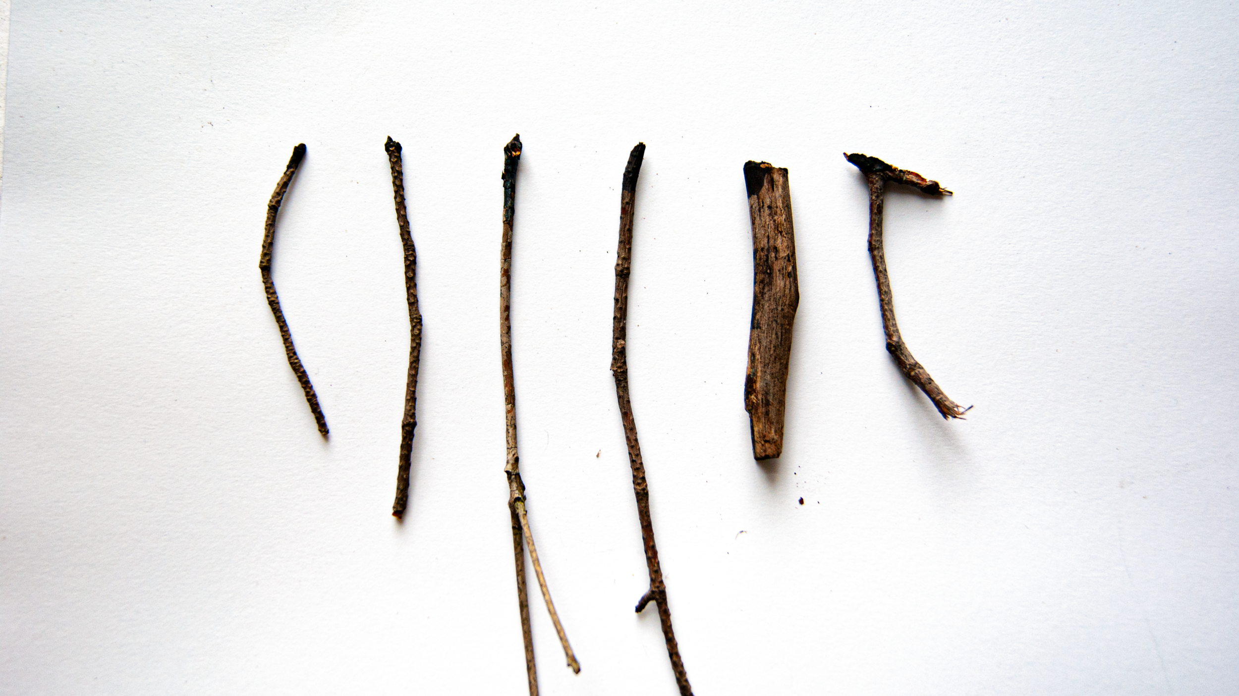 TwigsHighdefImage.png