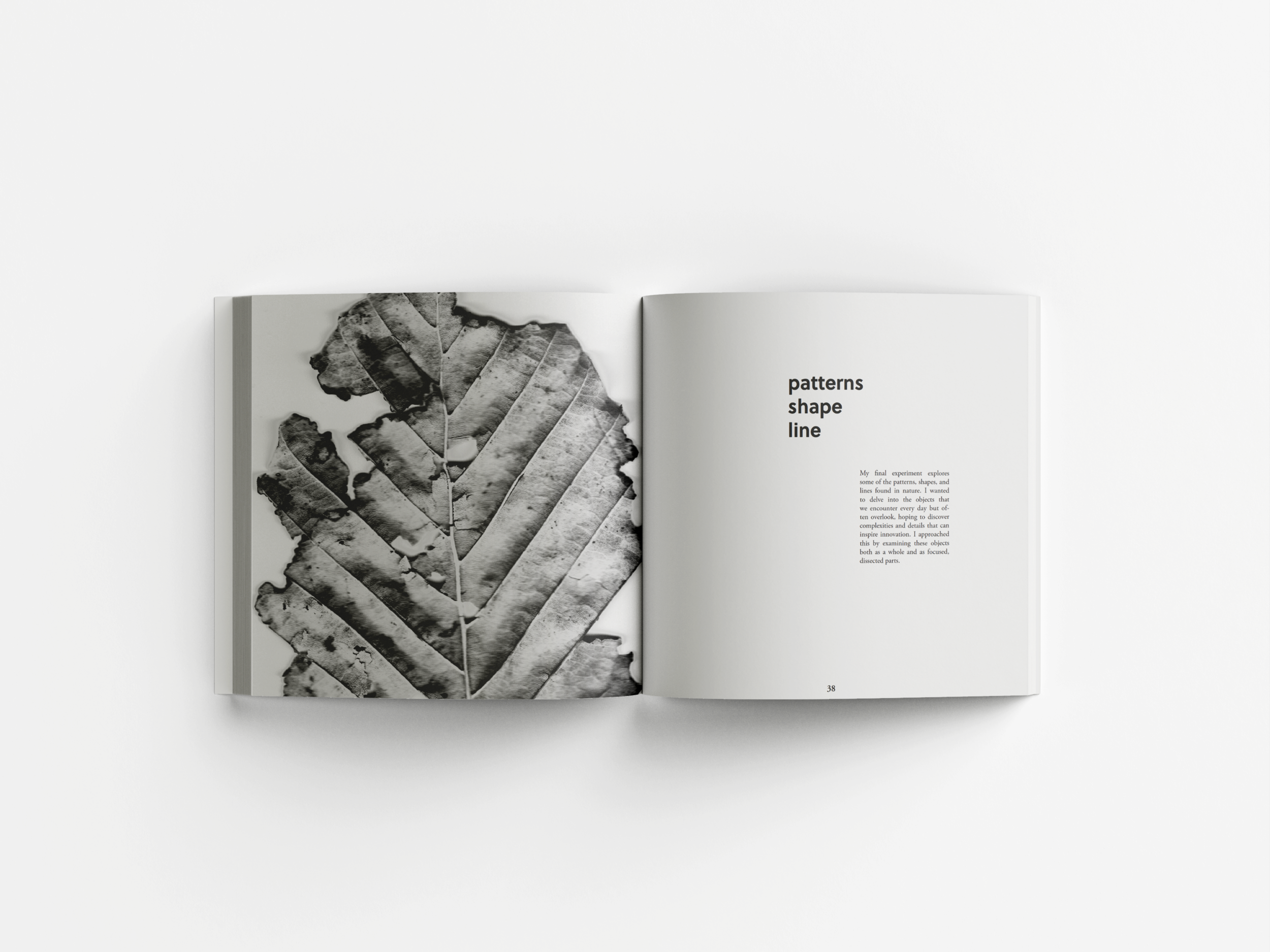 BookMockup.png
