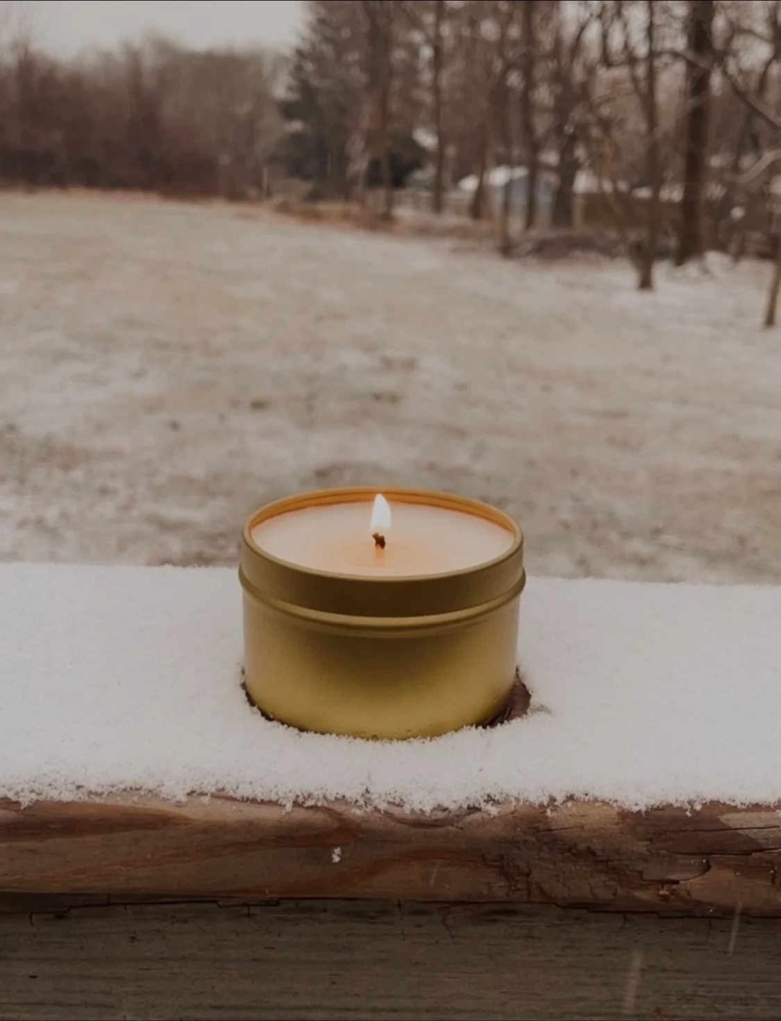❆ The Winter Collection ❆ has drifted in. And with it comes brisk, frosty fragrances capturing the breath-taking winters of the East Coast. To curb the chill, cozy up with toasty, spiced scents evoking the warmth of winters in Northern California.

❆