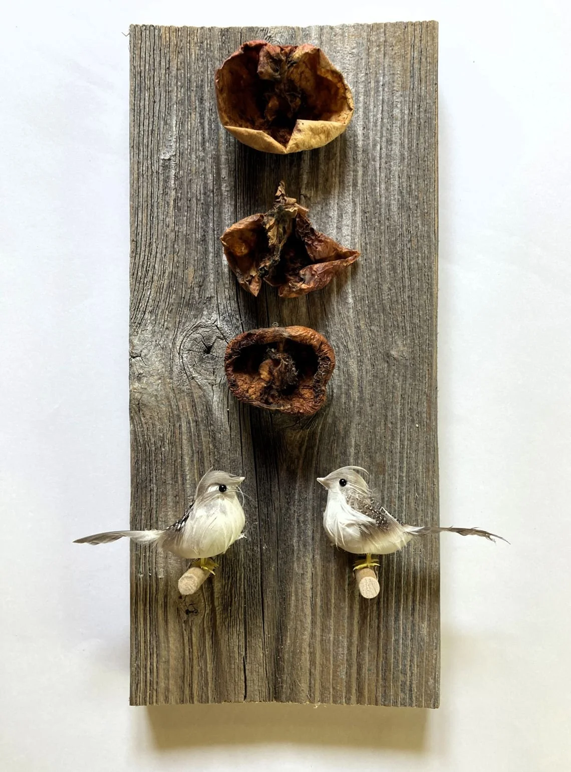 Vogelknabberspaß, 2026, angefressene Äpfel vom Baum, Dekovögelchen, 17 x 36 x 7 cm