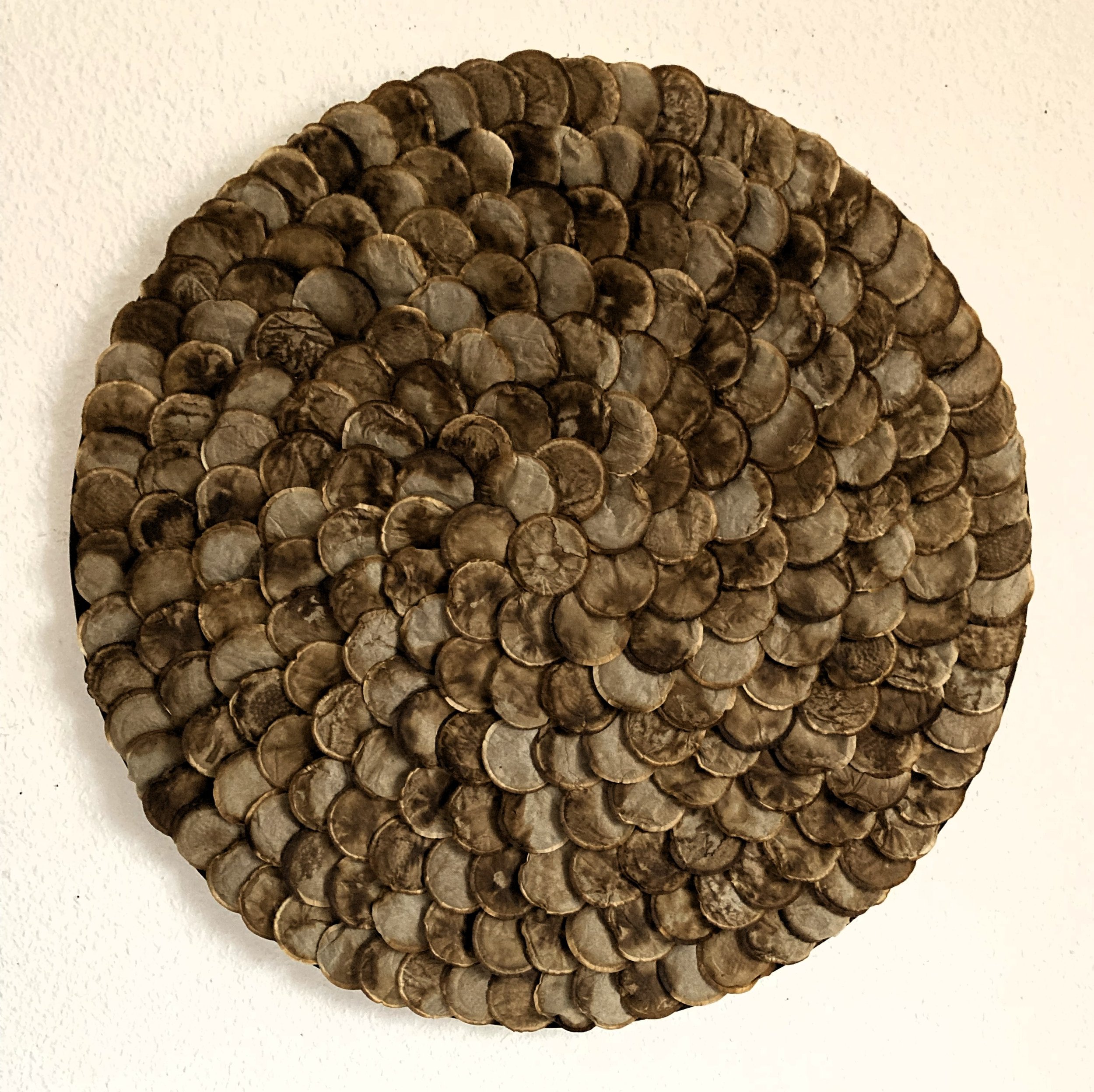ohne Titel, 2026, Kaffee-Pads, 77 x 77 cm