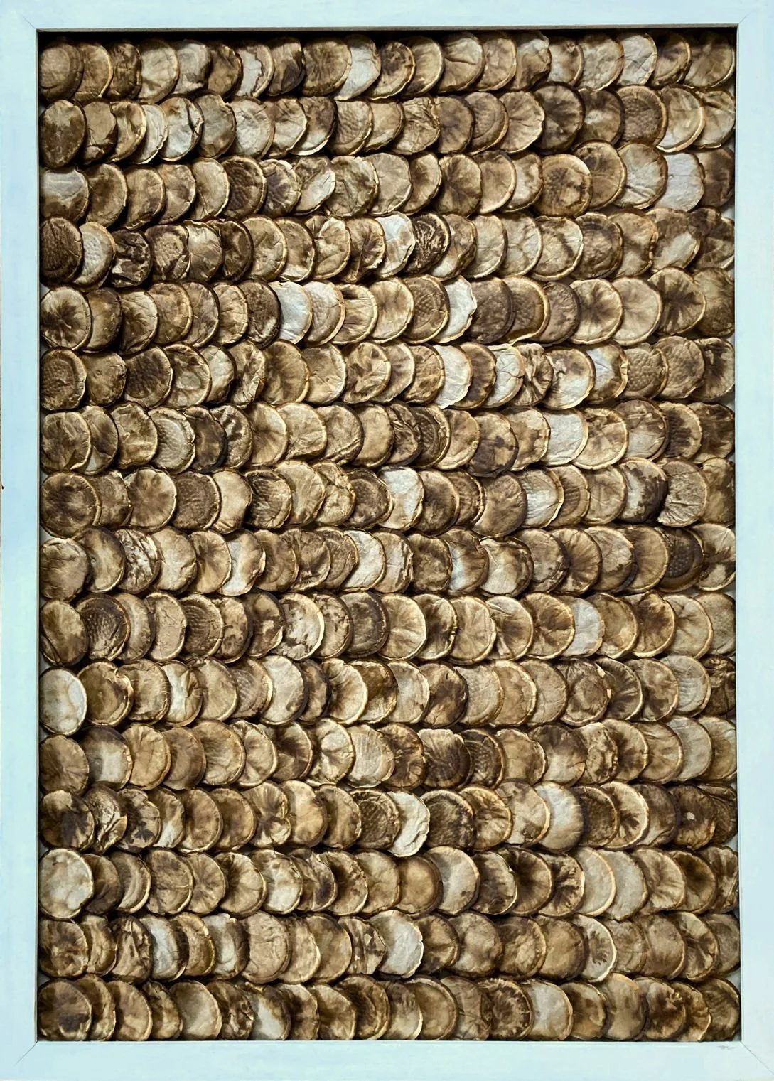 o.T, 2026, Kaffee-Pads quer, 100 x 70 cm