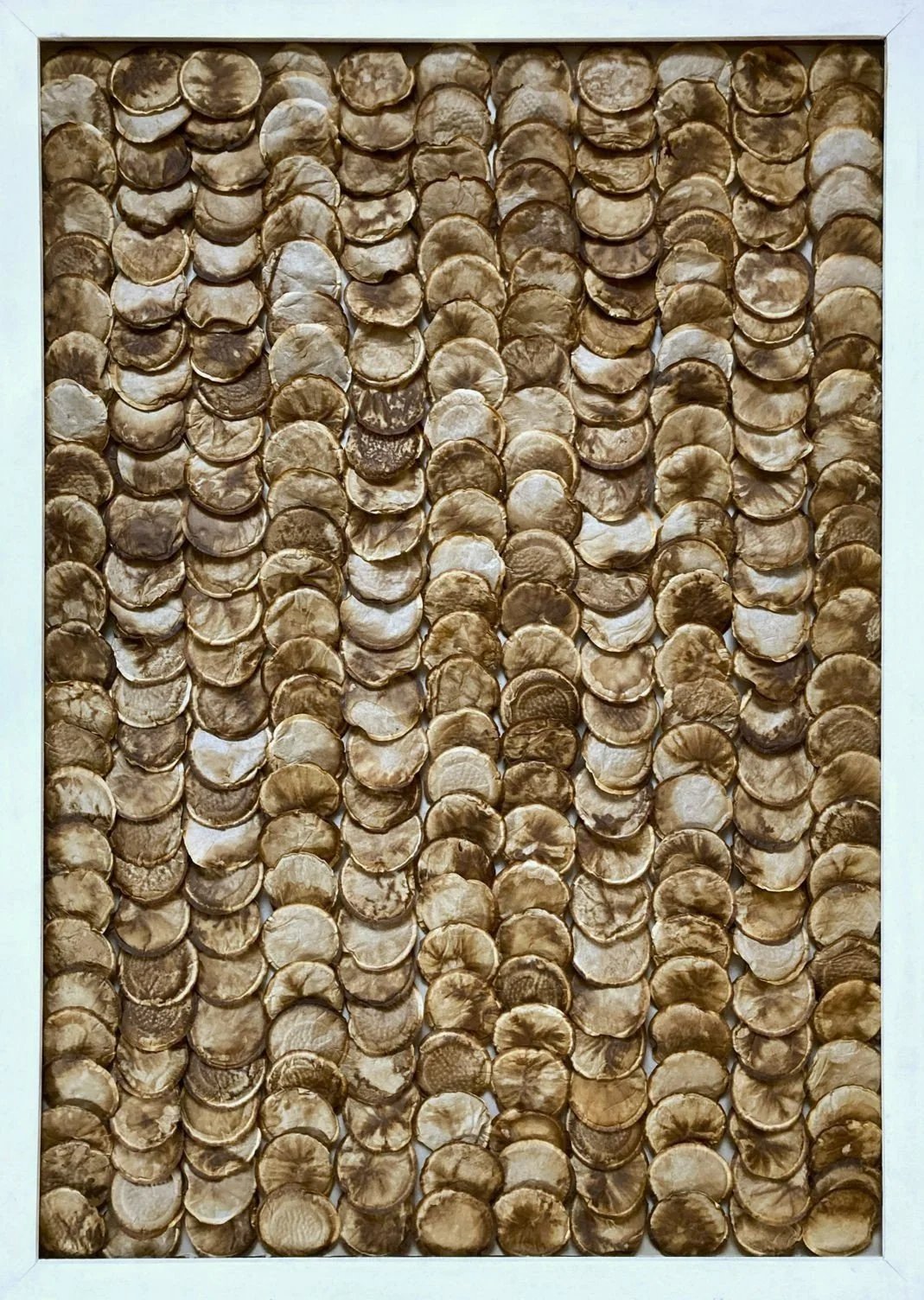 o.T, 2026, Kaffee-Pads längs 2, 100 x 70 cm