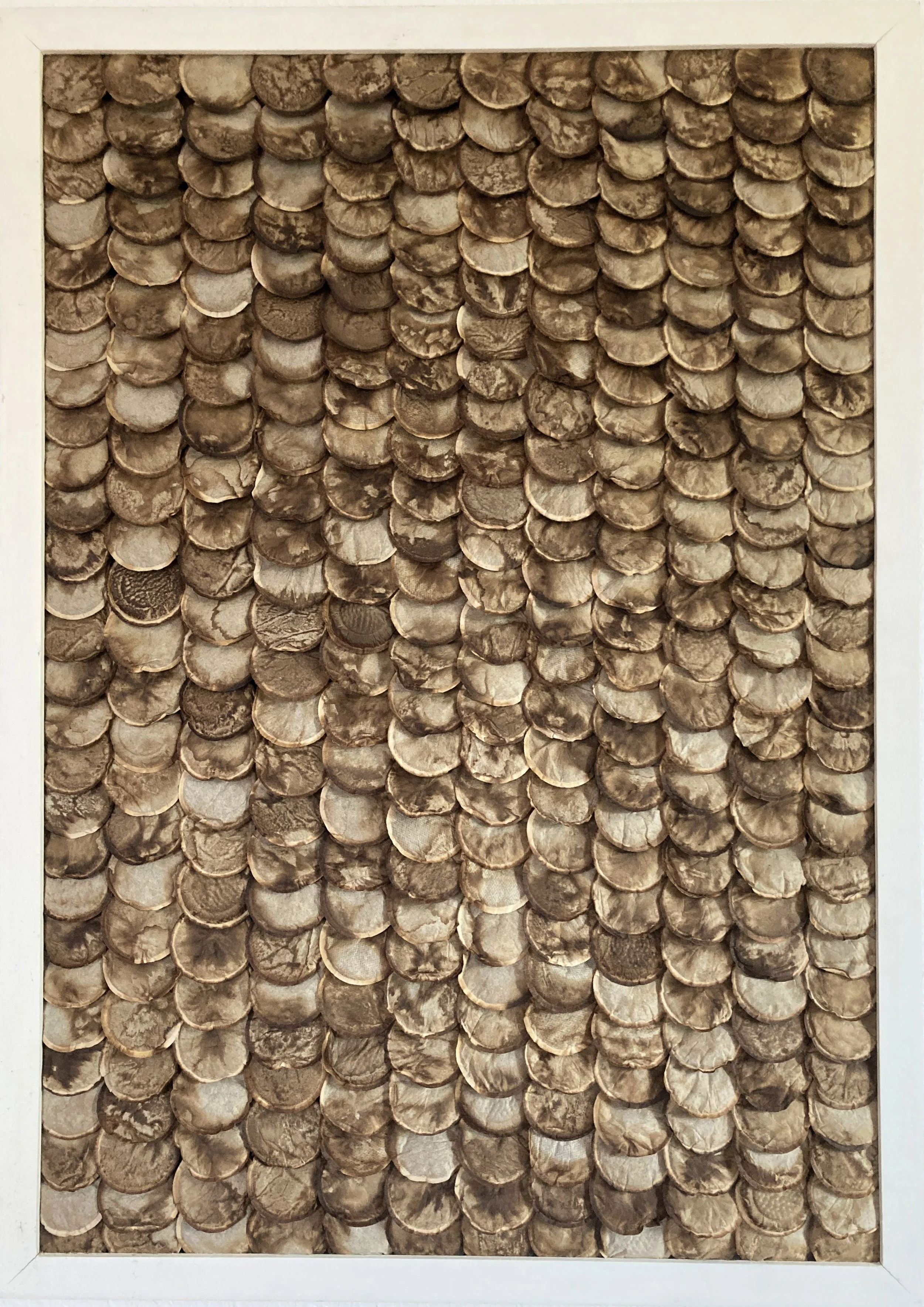 o.T, 2026, Kaffee-Pads längs 1, 100 x 70 cm