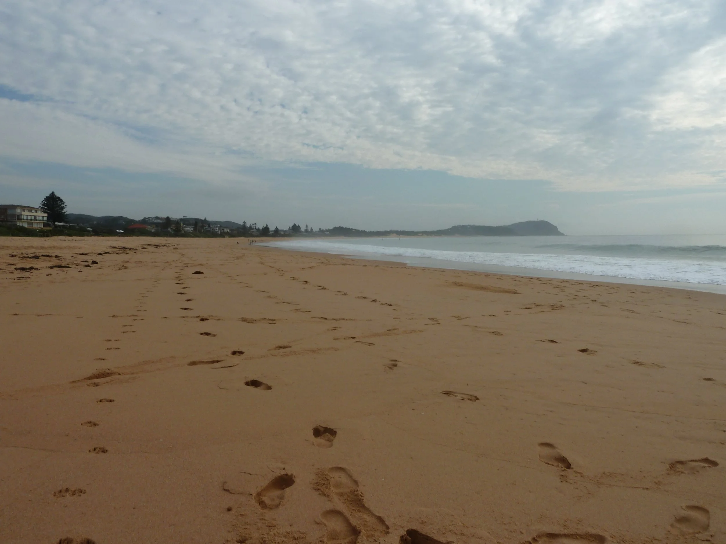   Terrigal beach  
