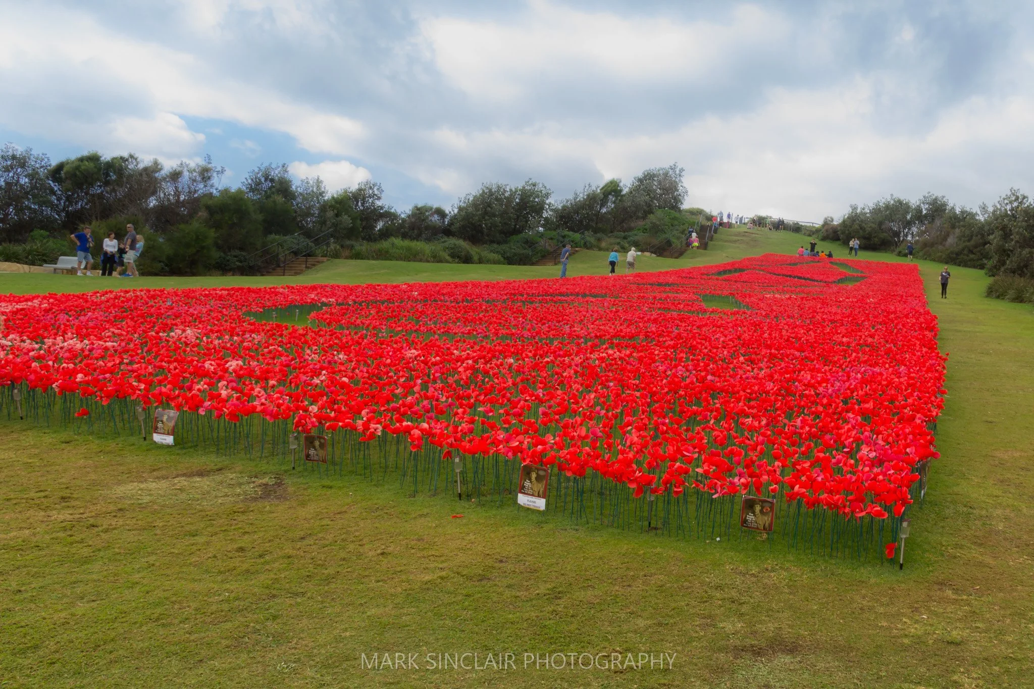   Poppies on the Skillion  
