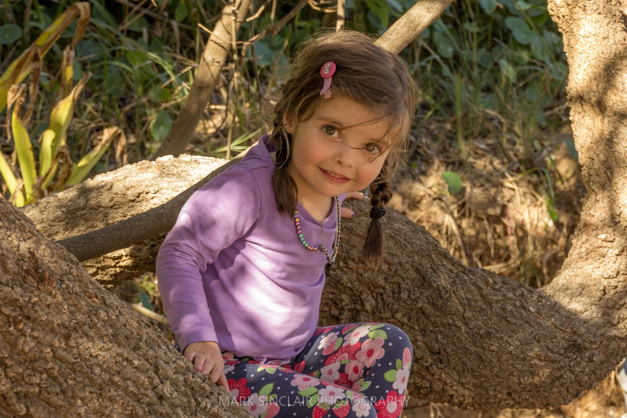   Time for a quick snap of my daughter in the tree  