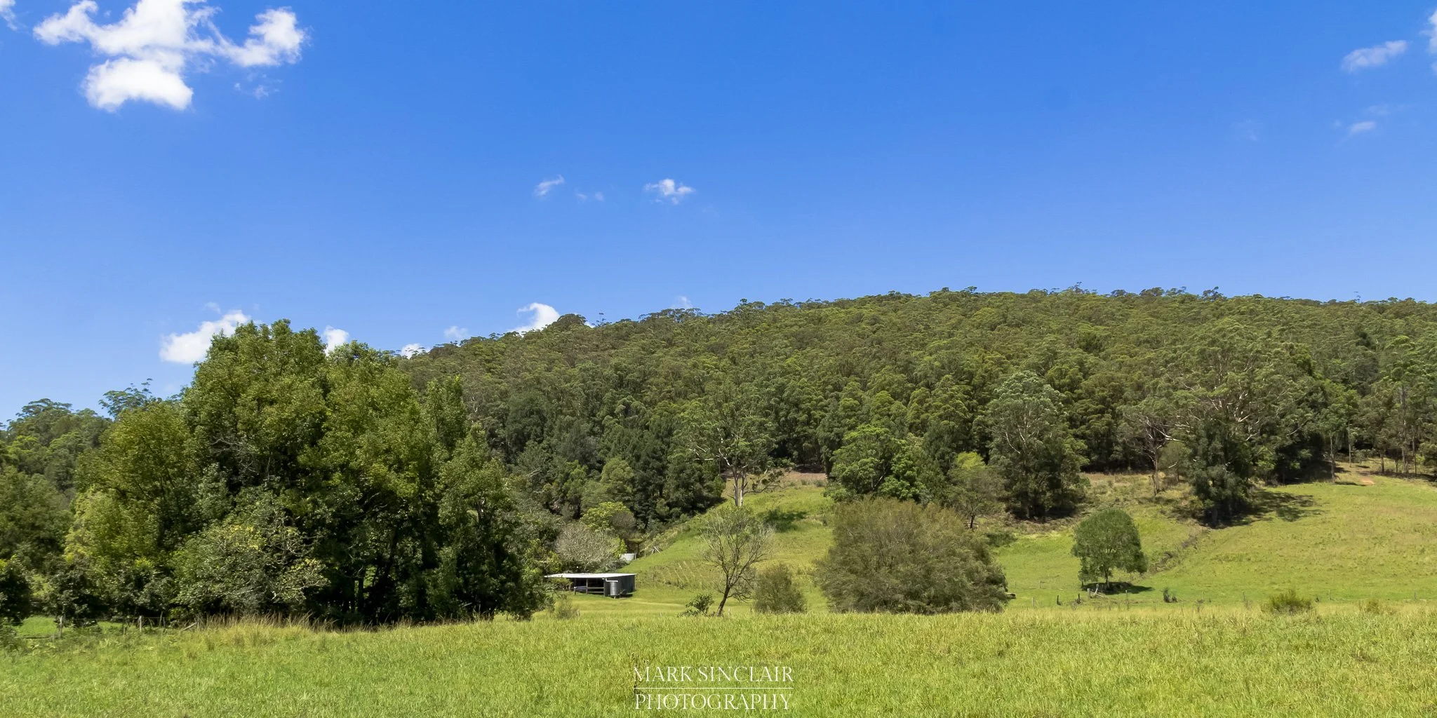   View from one of Ourimbah’s country roads  