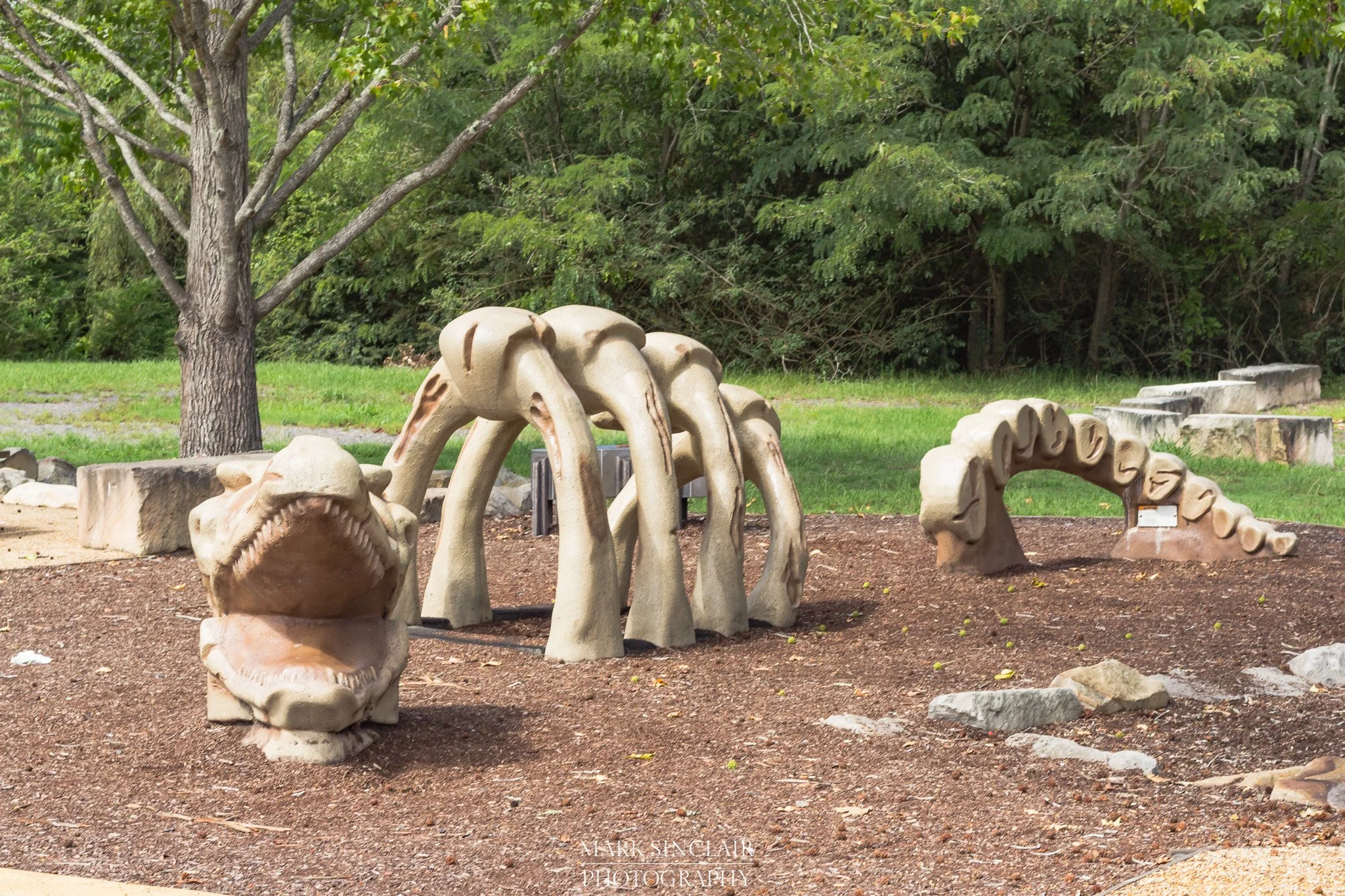   The Dinosaur Park  