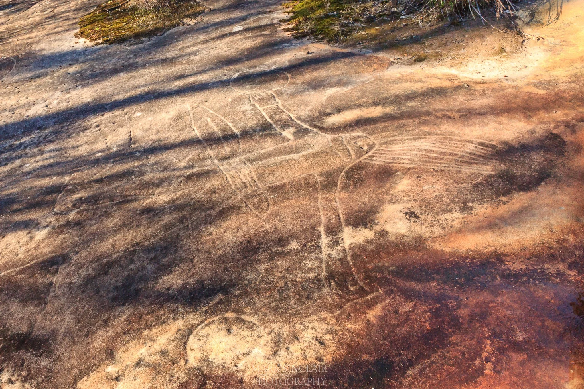   Carving of the aboriginal warrior “Bulgandry”  