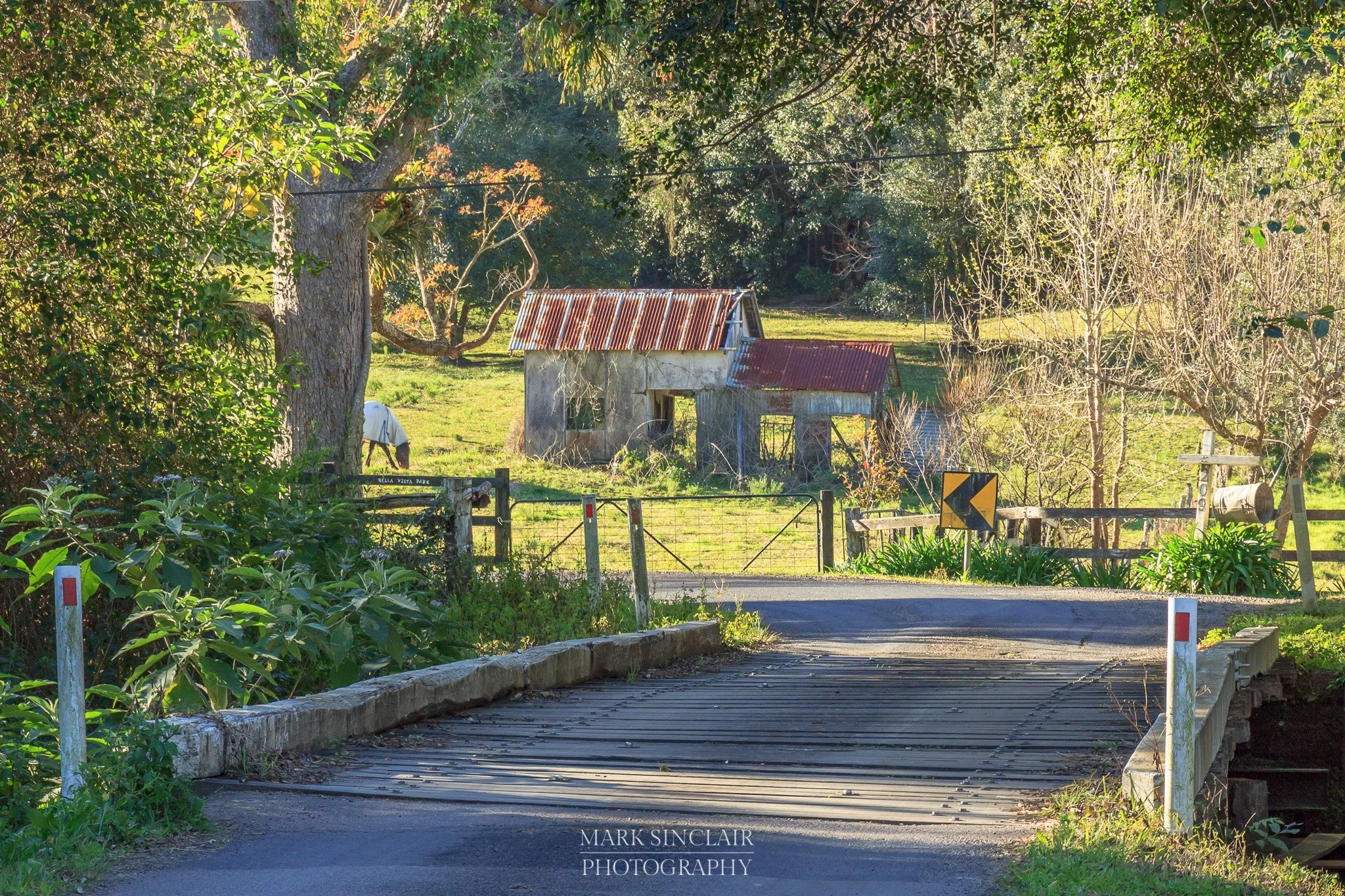   Looking into the back of a horse yard  