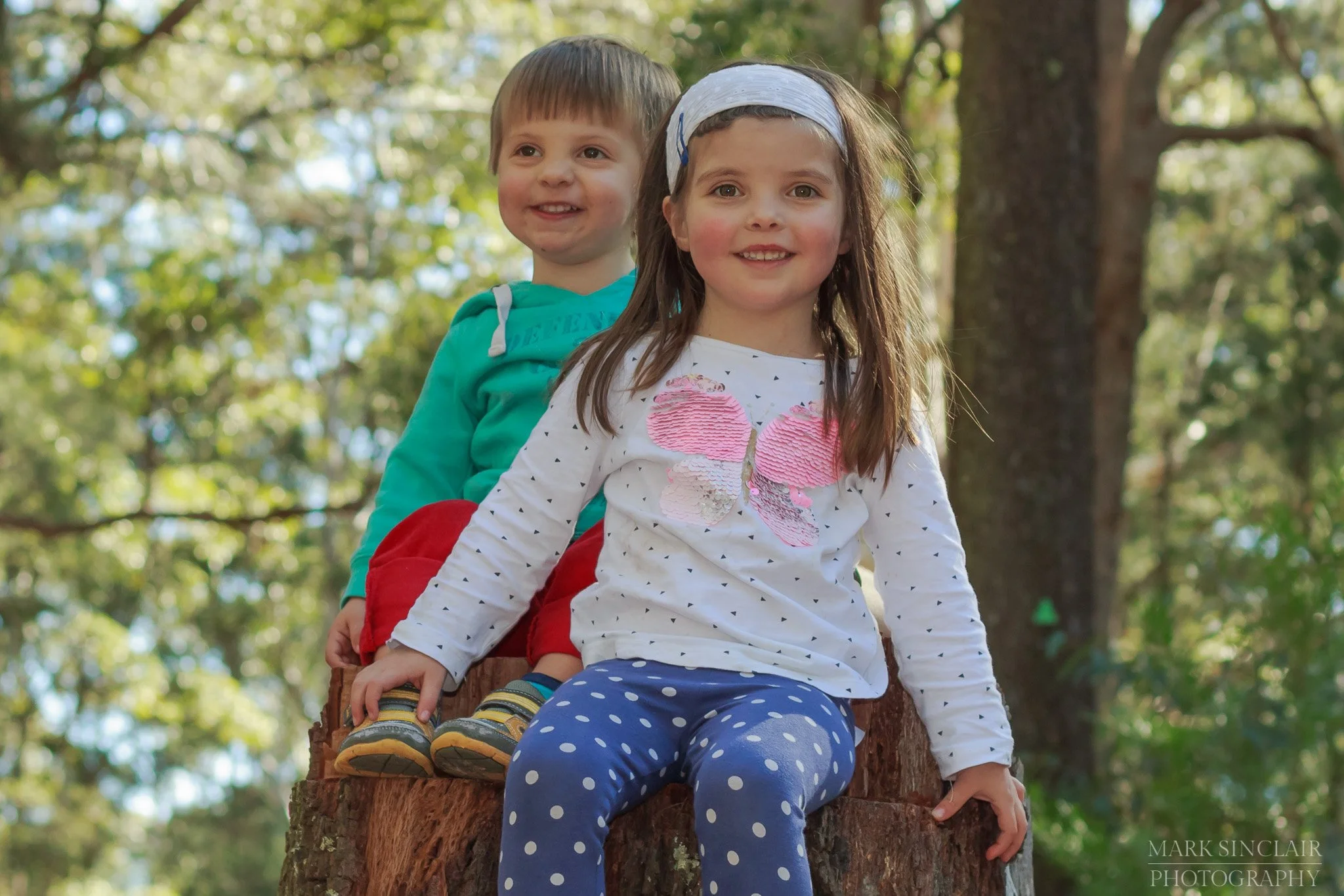   Time for a quick shot of the kids on a stump before we got back into the car  