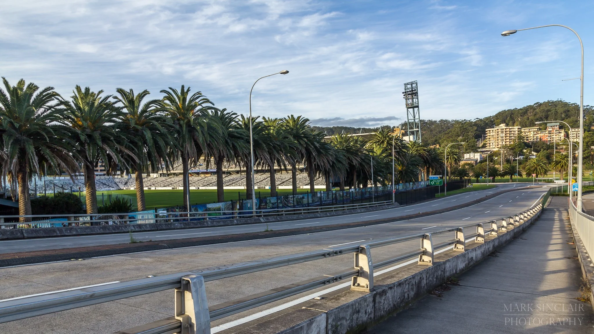   Palm trees lining one side of the Central Coast stadium on the left  