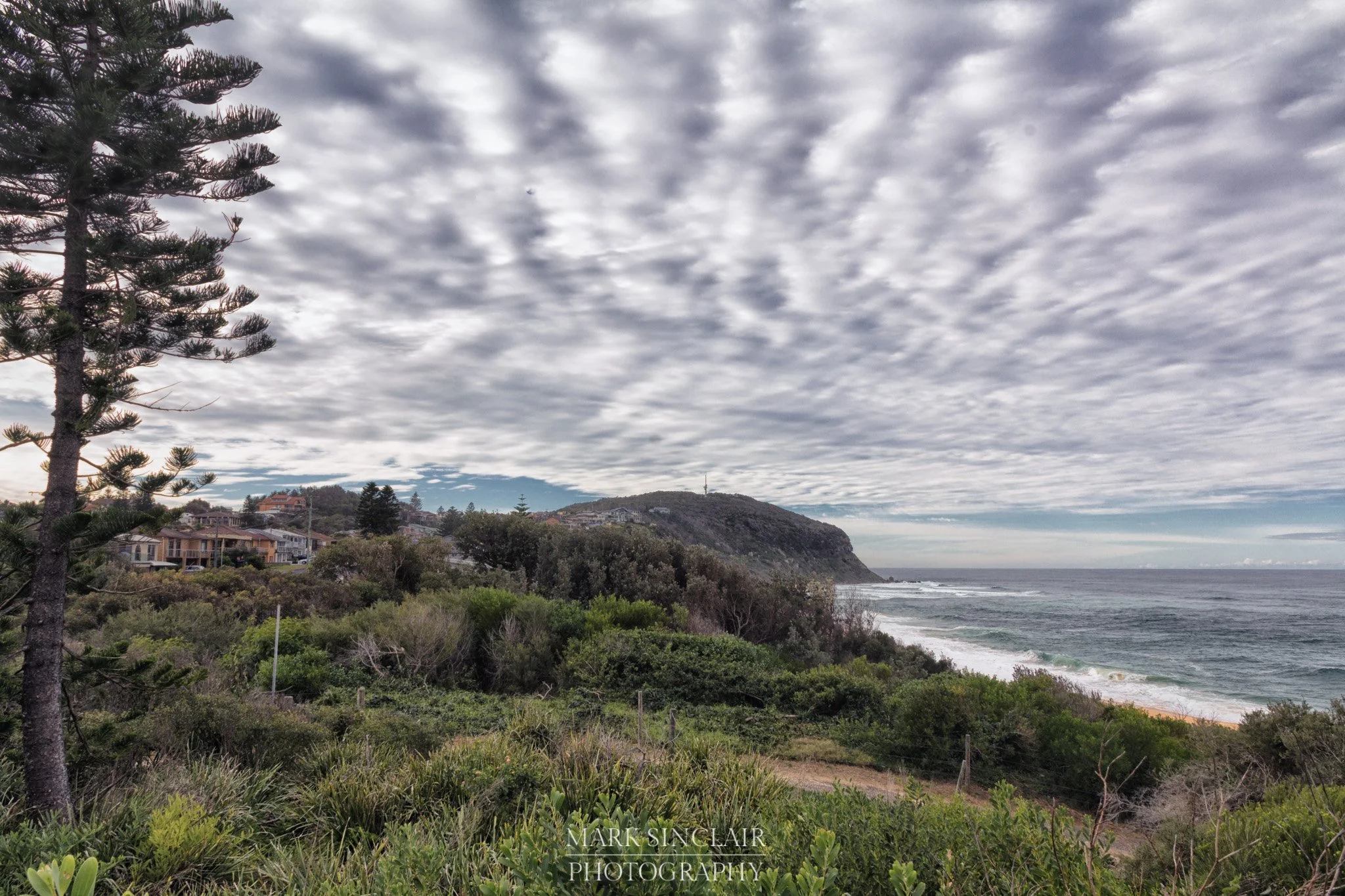   Looking north up the beach from the lookout  