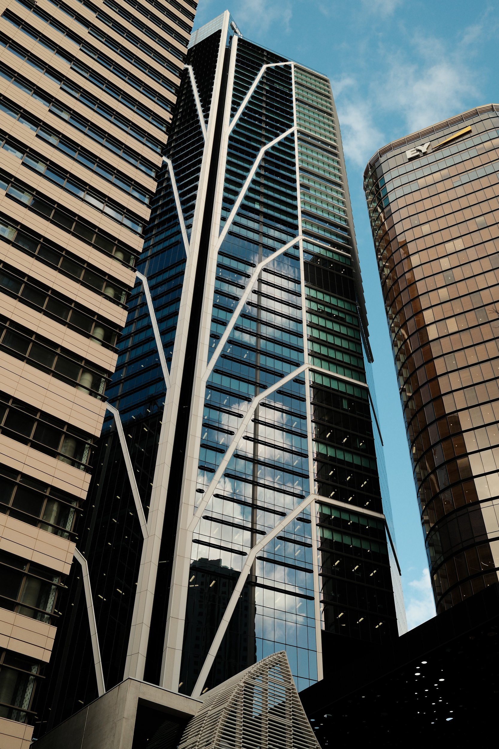   Overlooking Circular Quay  