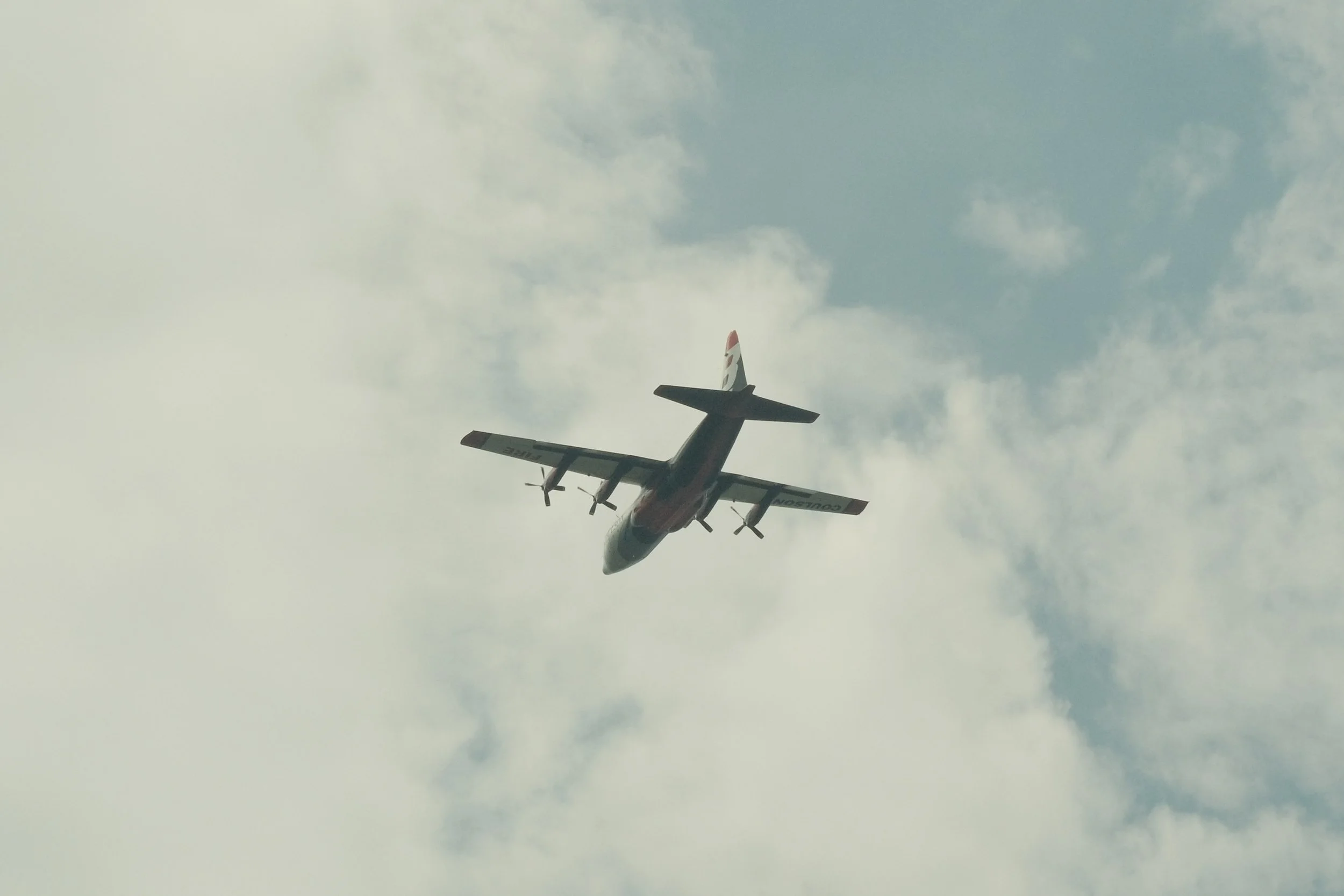  “Elvis” in the skies 