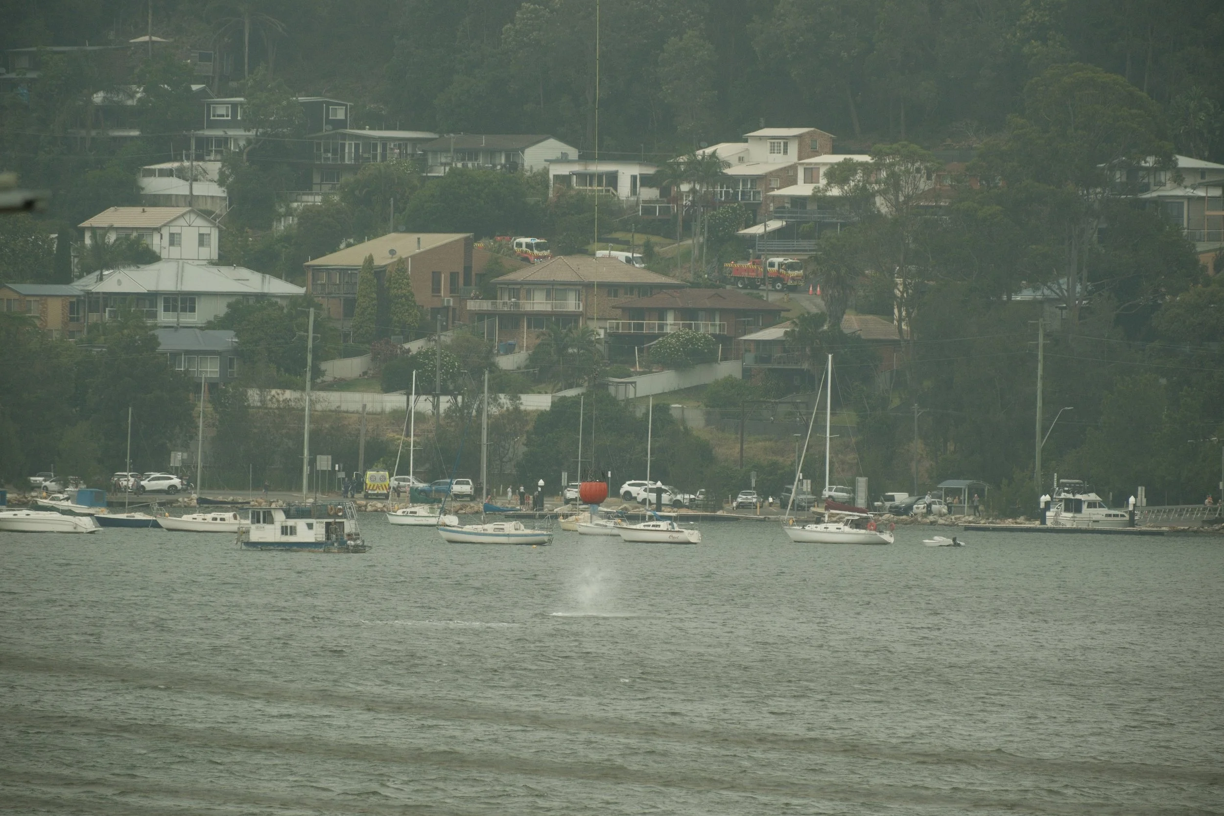   Brisbane Water supplying Helicopters with an endless supply of water  