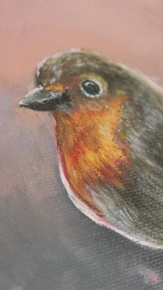 Robin ORIGINAL Robin face 20-02.jpg