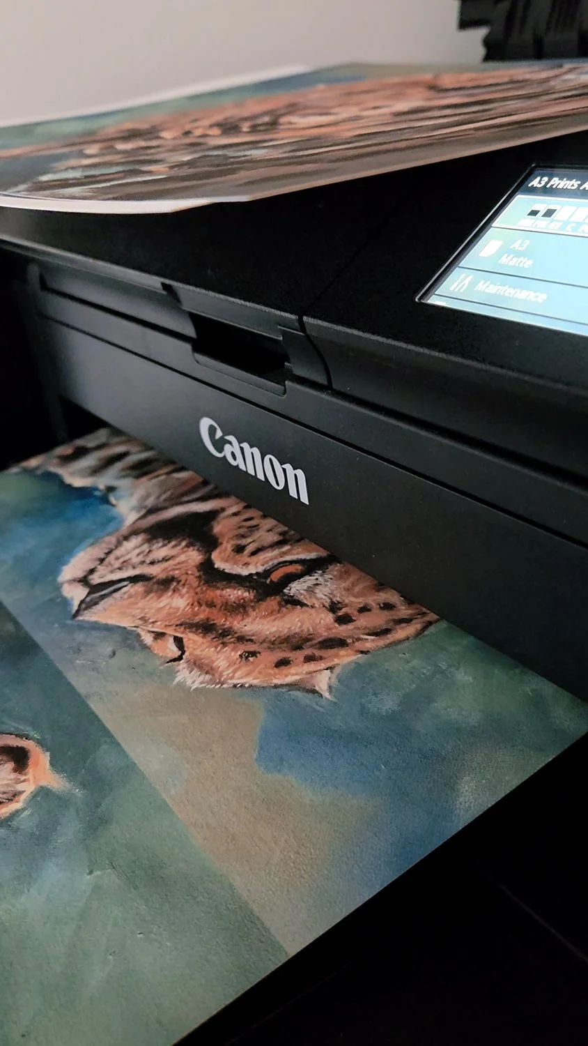 Cheetah printing.jpg