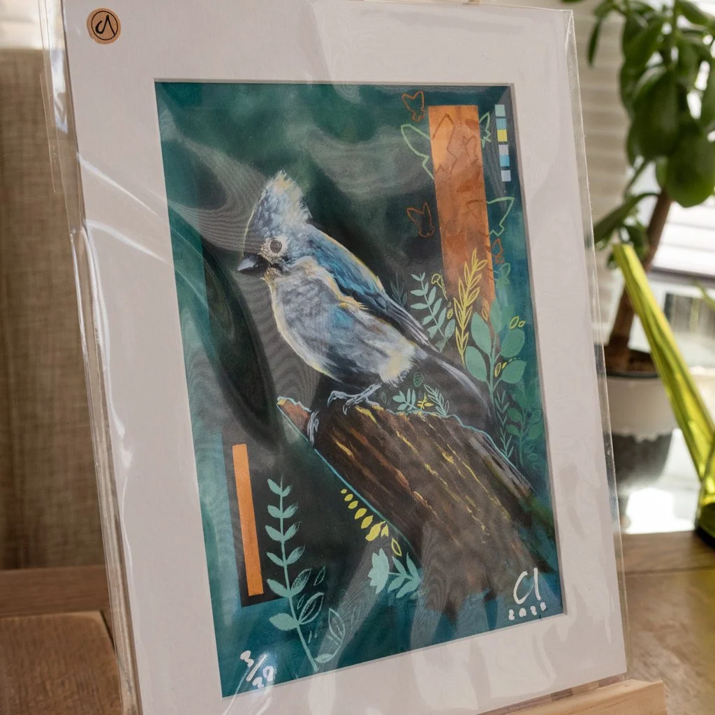 TuftedBluetitWebSquare1200Mount copy.jpg