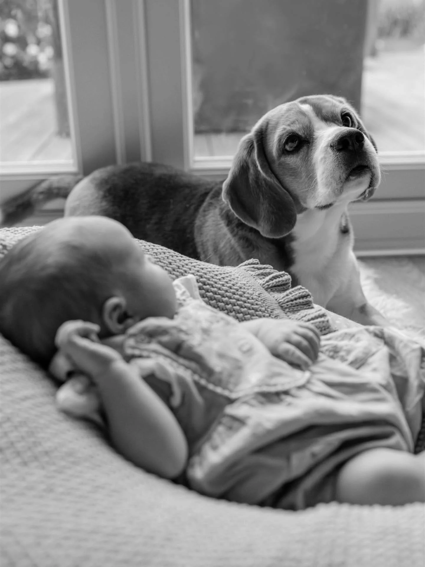 FAMILY SHOOTS

Another personal shoot from me hitting the grid! 

🩷 WELCOME TO THE WORLD PHOEBE 🩷

We got to meet our 2 week old neice Phoebe at the weekend and she was a little superstar in front of my camera. 

Trying to photograph a dog with a b