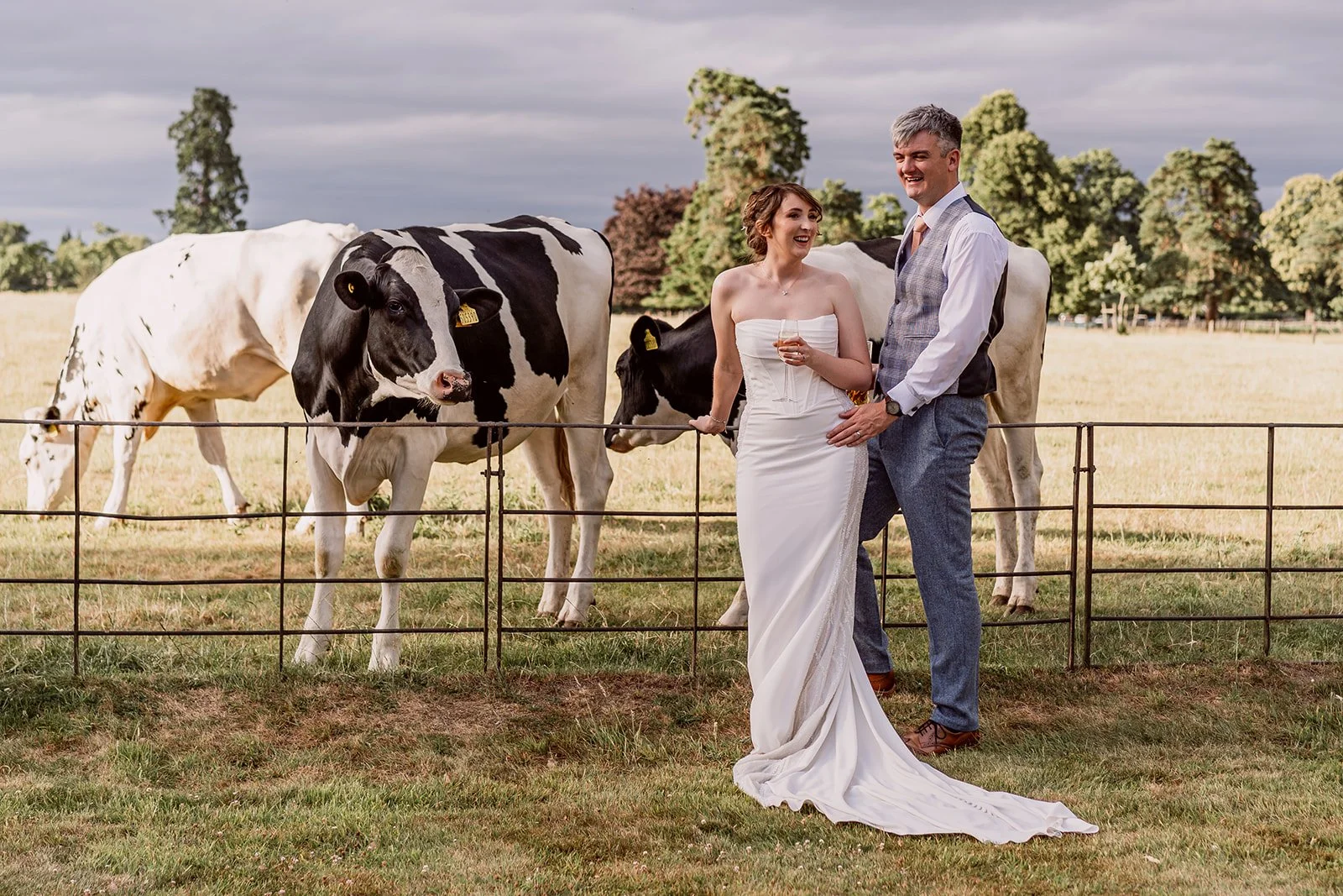 A couple standing with the cows during their wedding photography in Birimingham