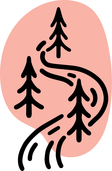 Illustration of a winding trail through pine trees on a pink background.