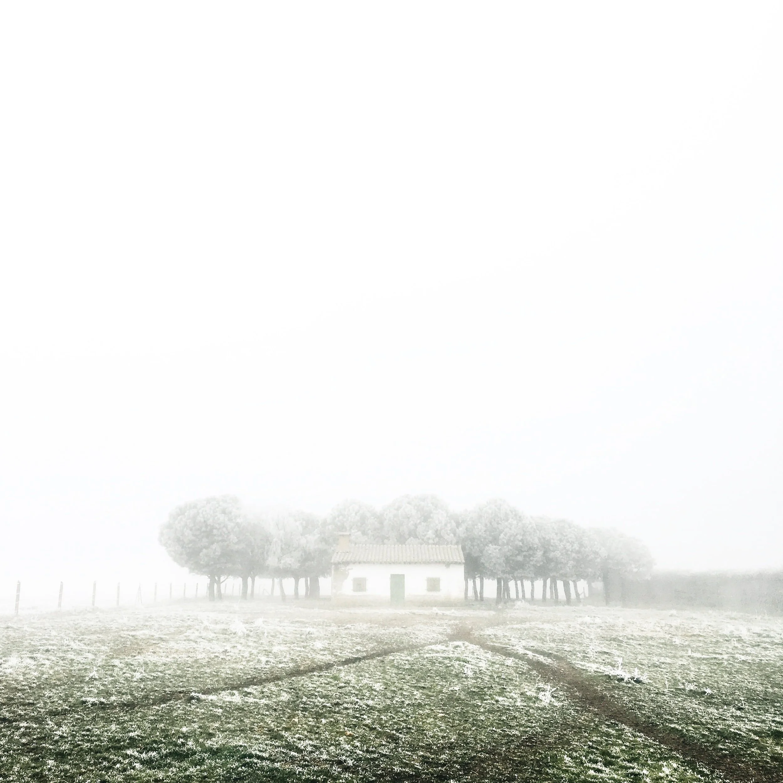 “Thought houses …”