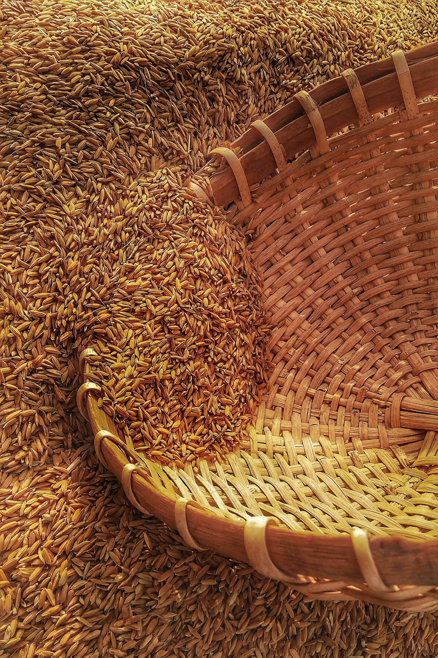 "The Sifting …"
