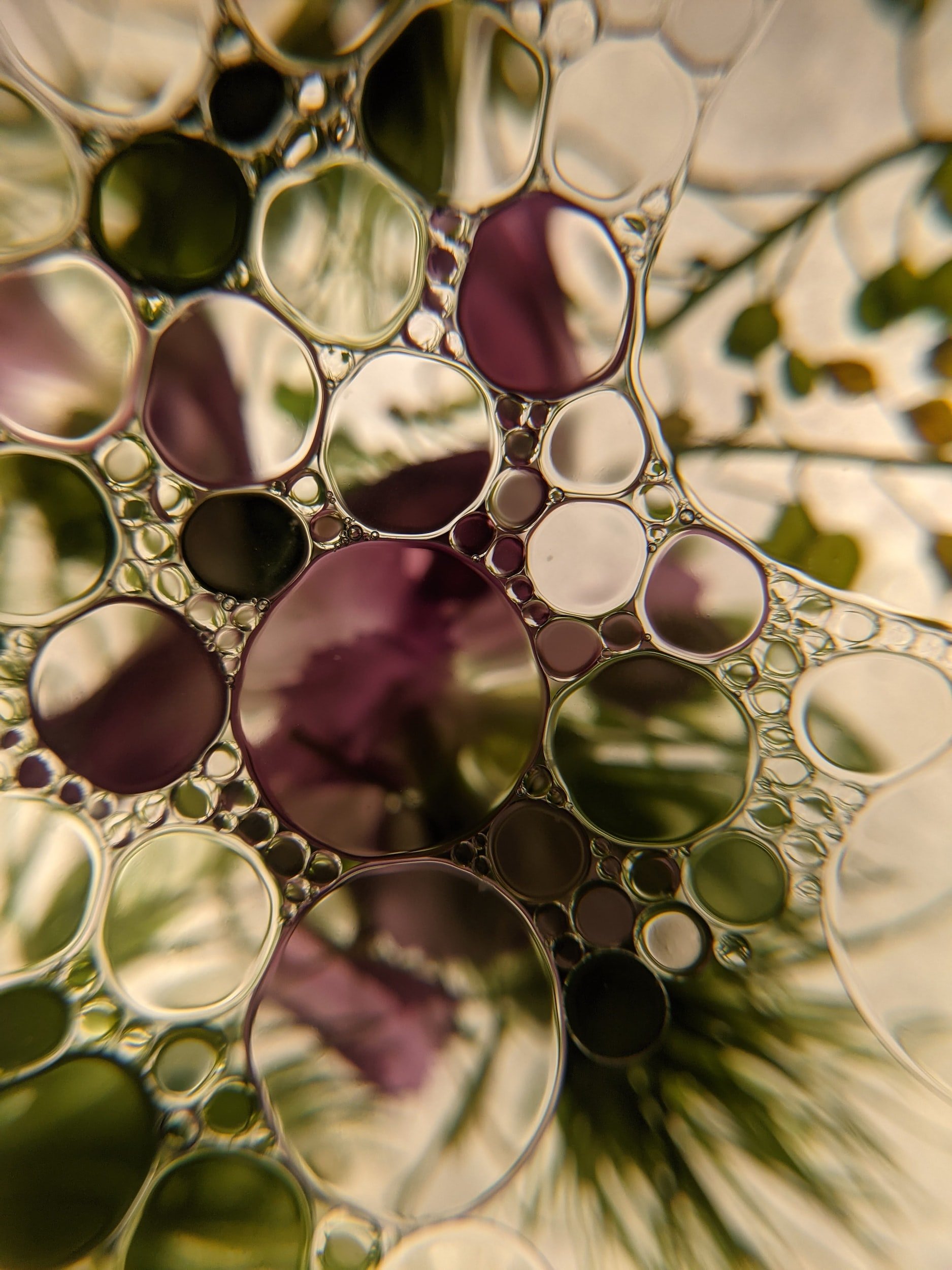 "Unity … and anointing"