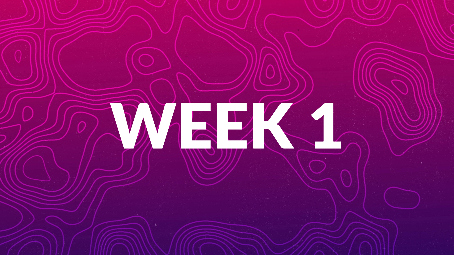 MemScrip 24 WK1.JPG