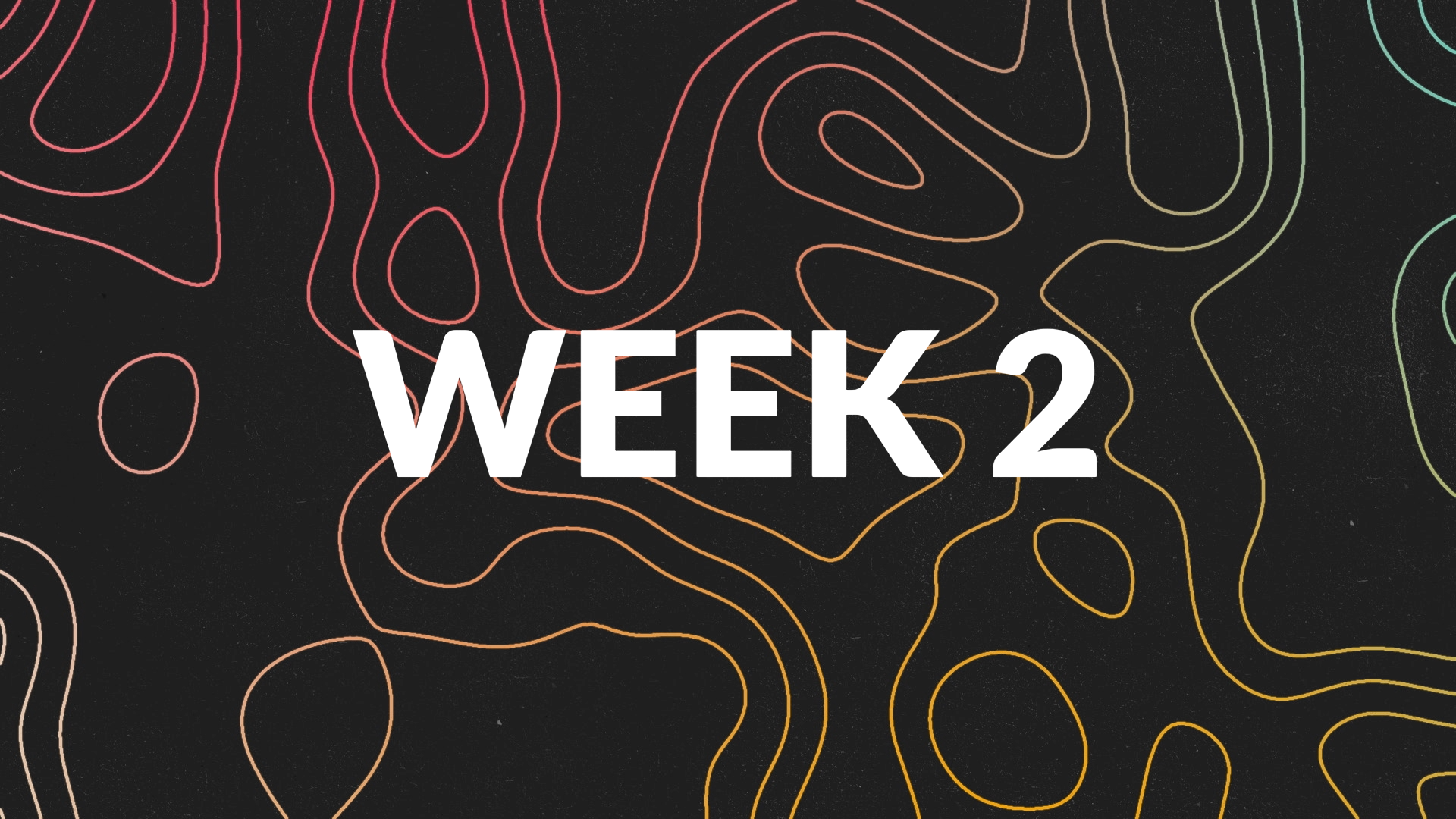 MemScrip 24 WK2.JPG