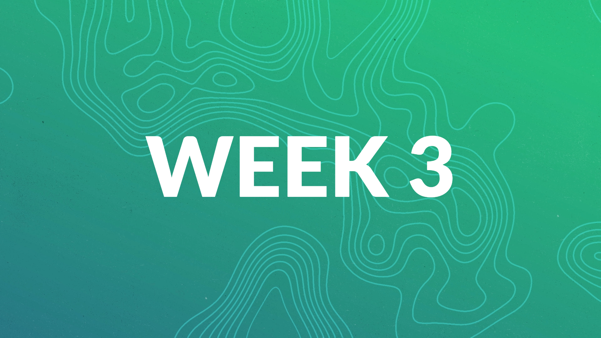 MemScrip 24 WK3.JPG