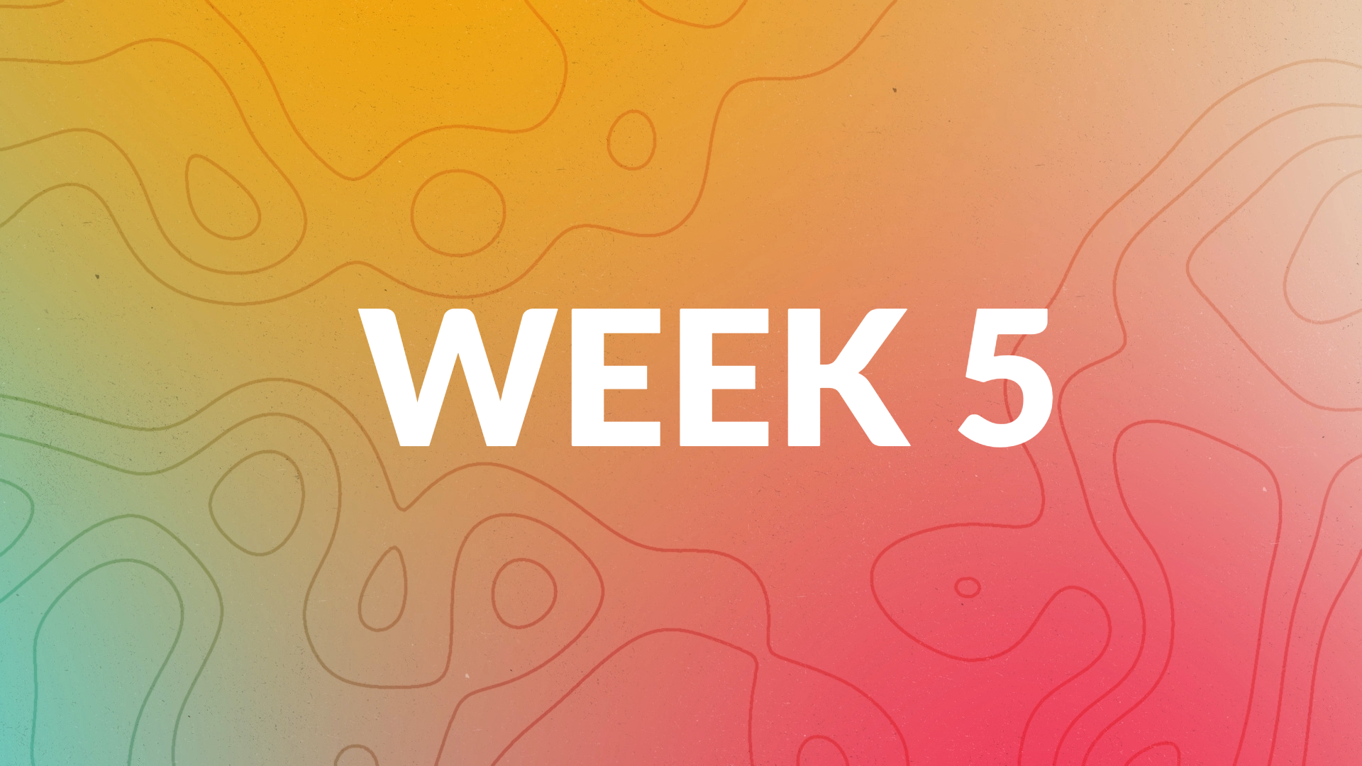 MemScrip 24 WK6.JPG