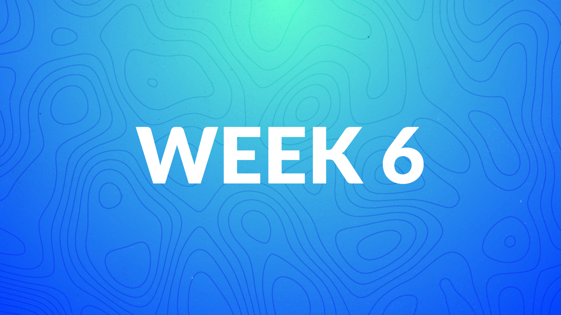 MemScrip 24 WK7.JPG