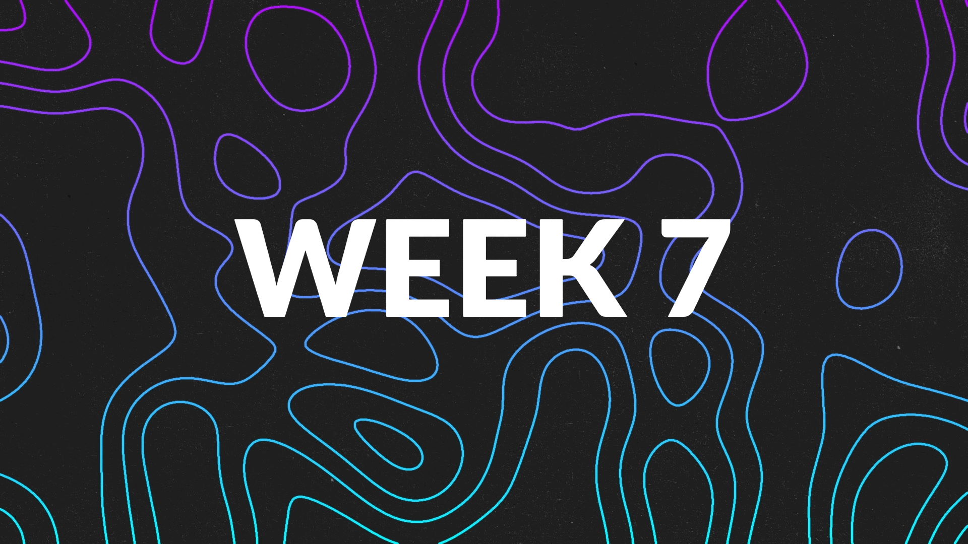 MemScrip 24 WK8.JPG