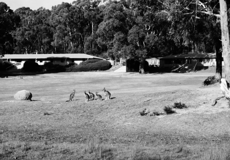 weekaway camp B+W.png