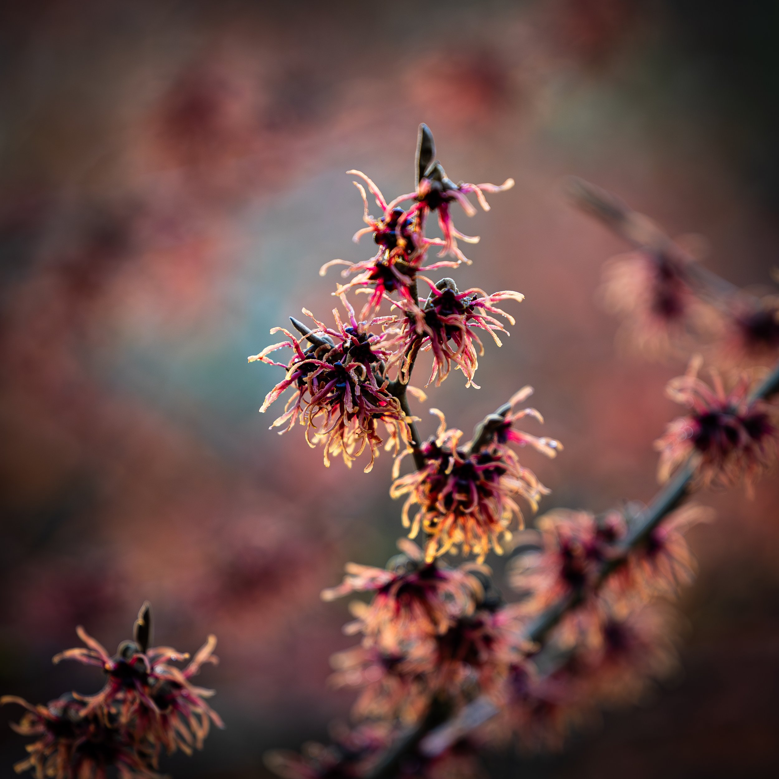 Aus der Zukunft heraus denken 